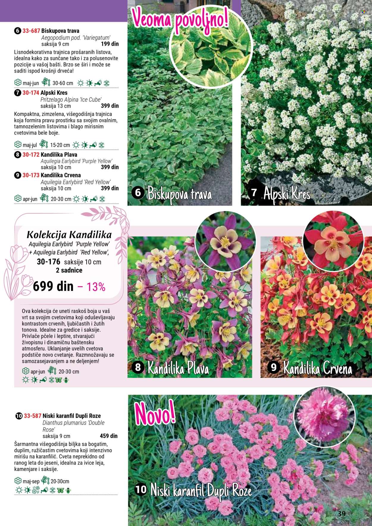 Flora Ekspres katalog. Stranica 39