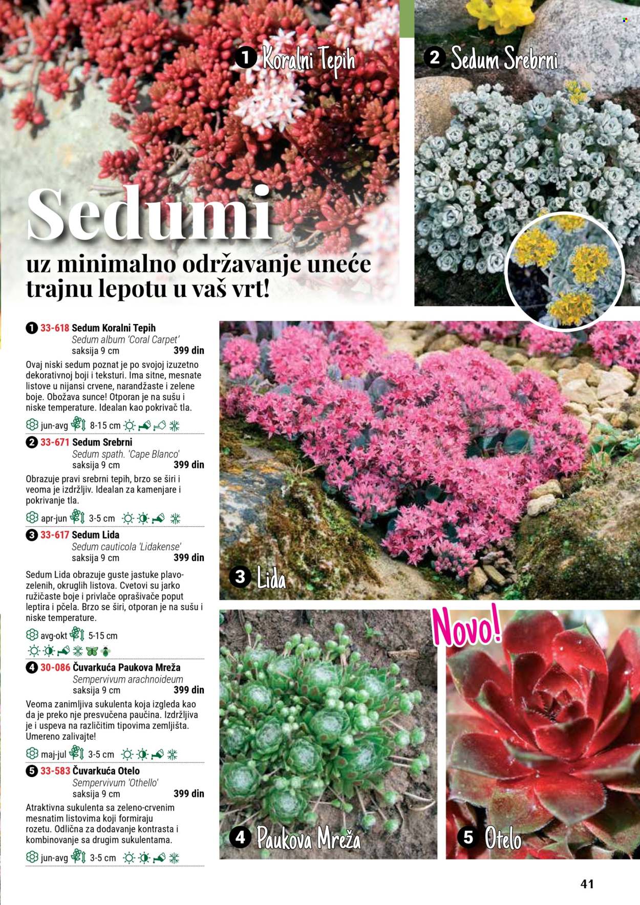 Flora Ekspres katalog. Stranica 41