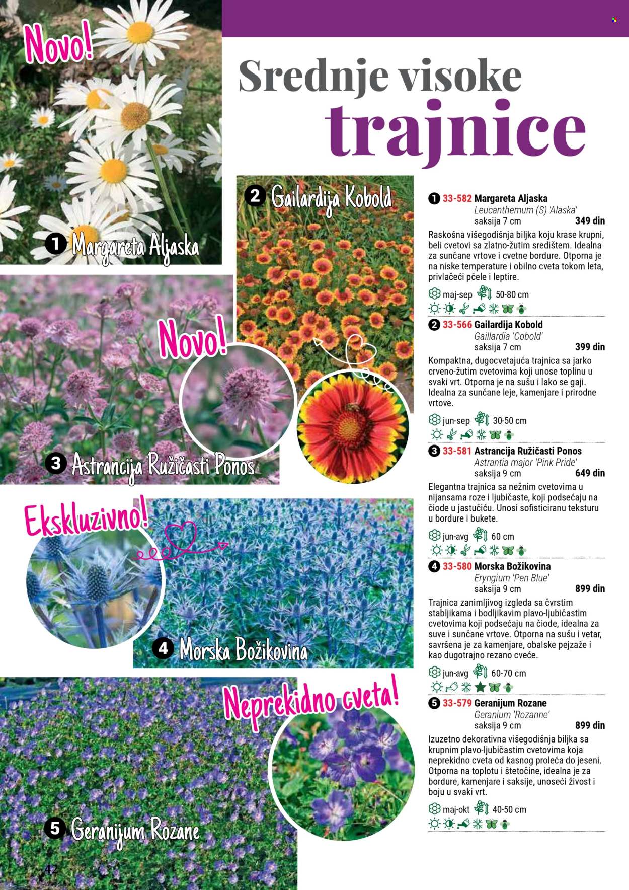 Flora Ekspres katalog. Stranica 42