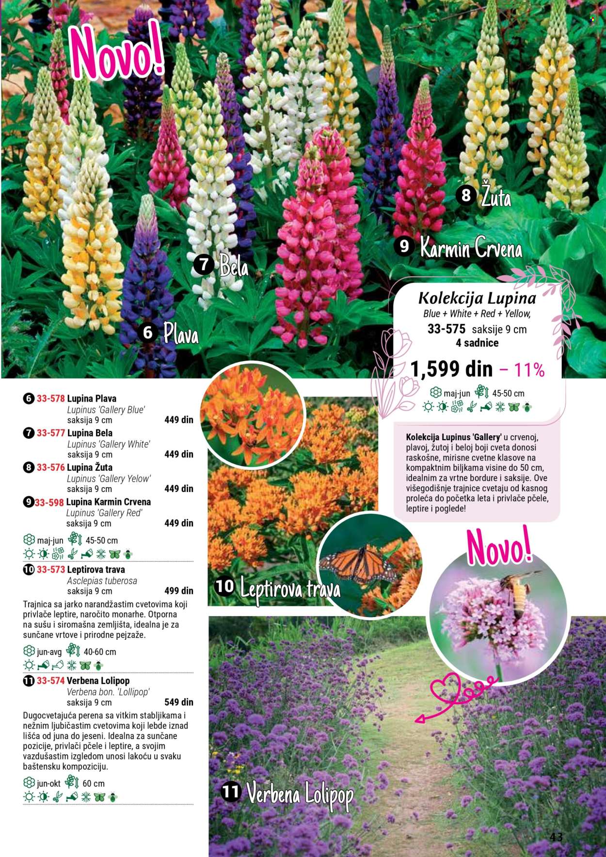 Flora Ekspres katalog. Stranica 43
