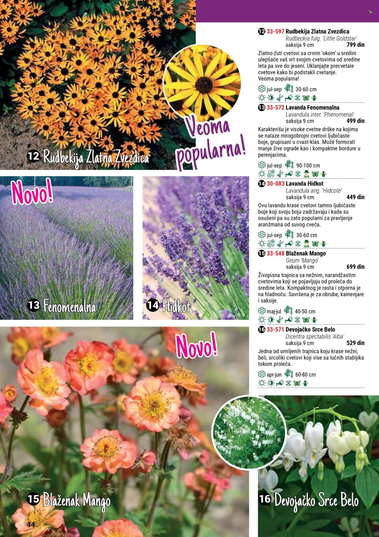 Flora Ekspres katalog. Stranica 44