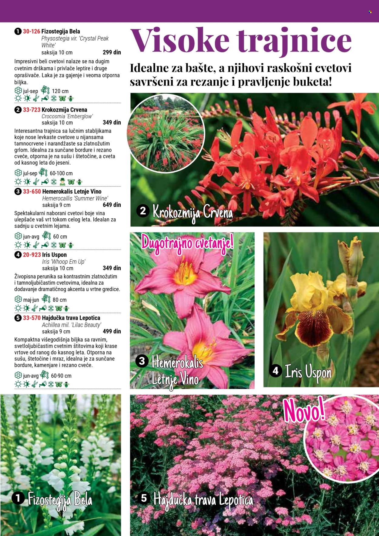 Flora Ekspres katalog. Stranica 45
