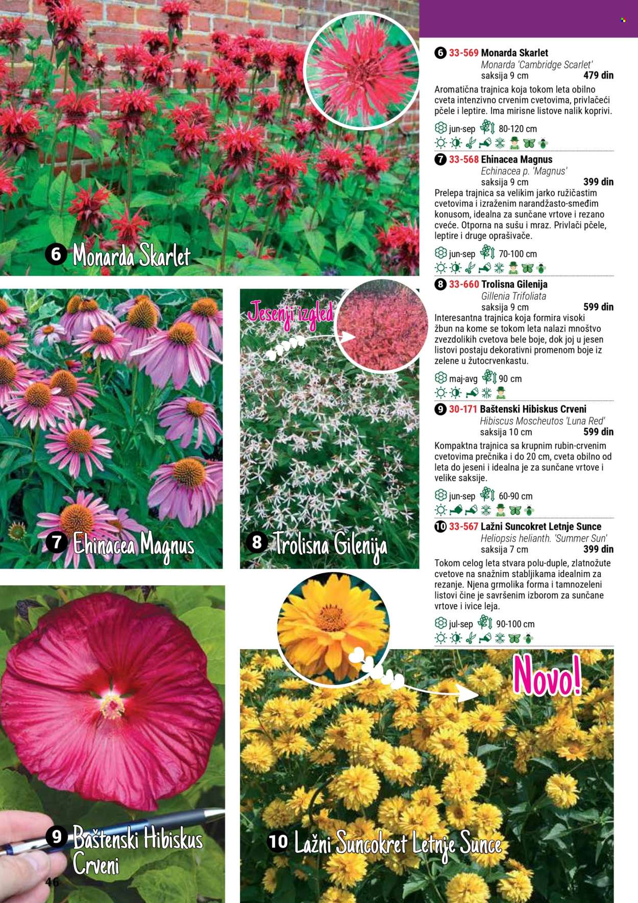 Flora Ekspres katalog. Stranica 46