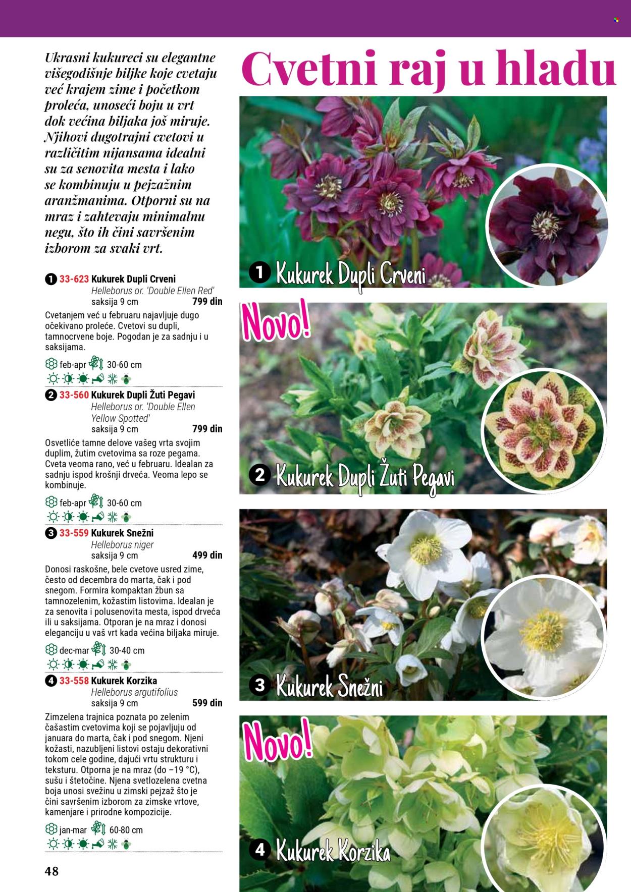 Flora Ekspres katalog. Stranica 48