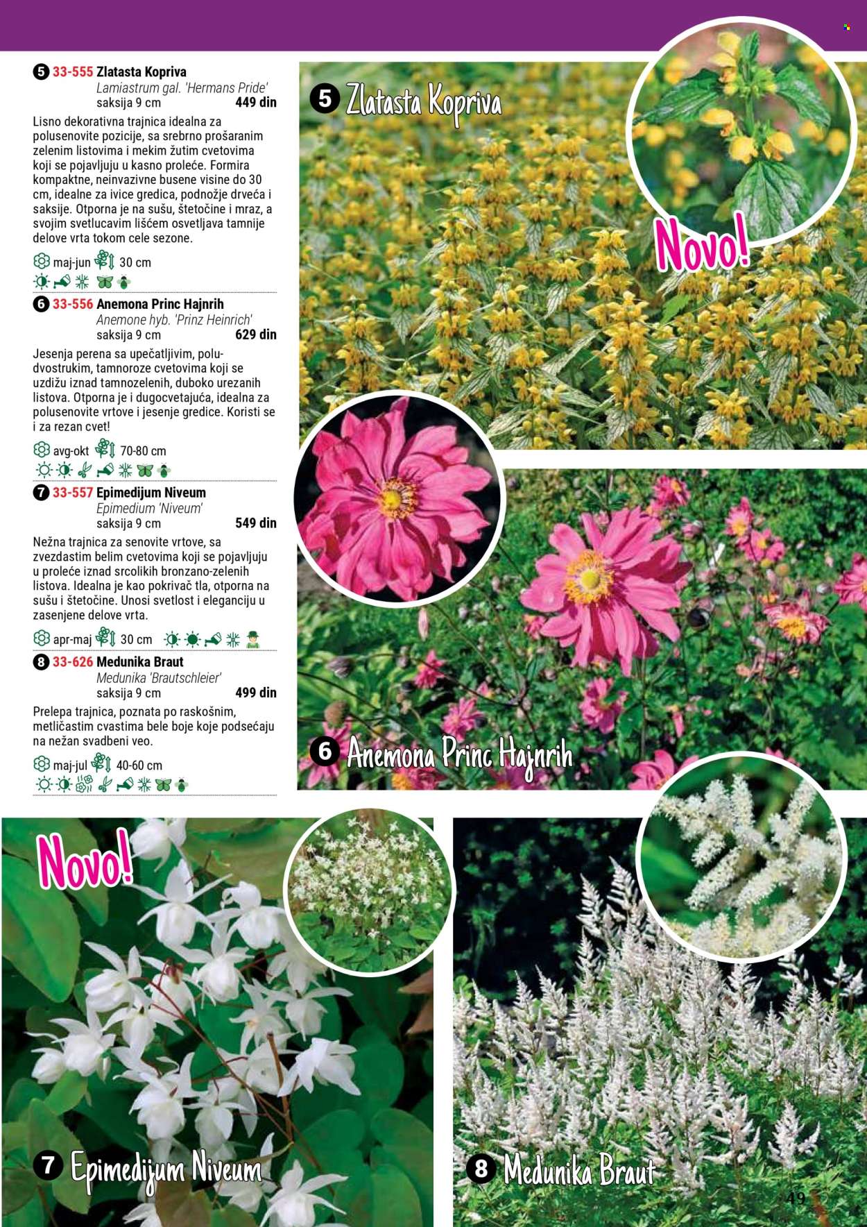 Flora Ekspres katalog. Stranica 49