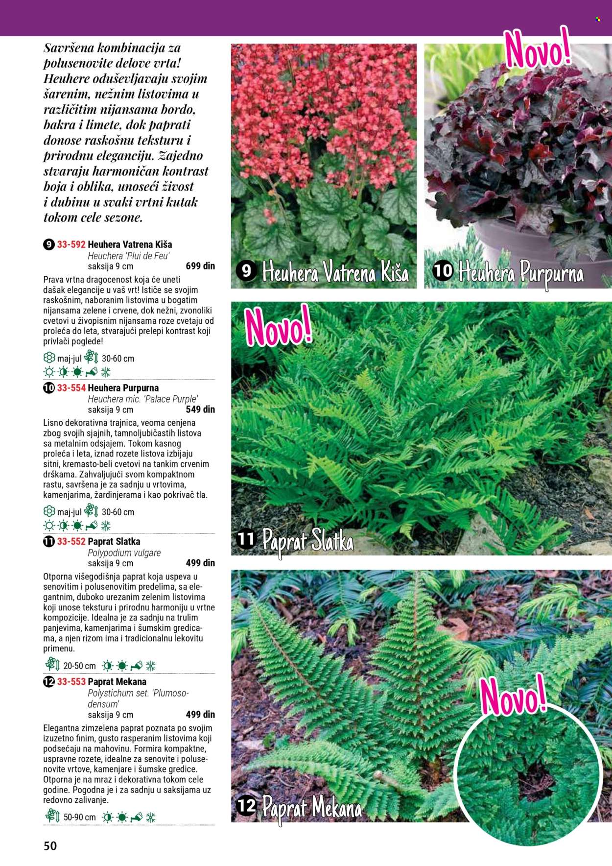 Flora Ekspres katalog. Stranica 50