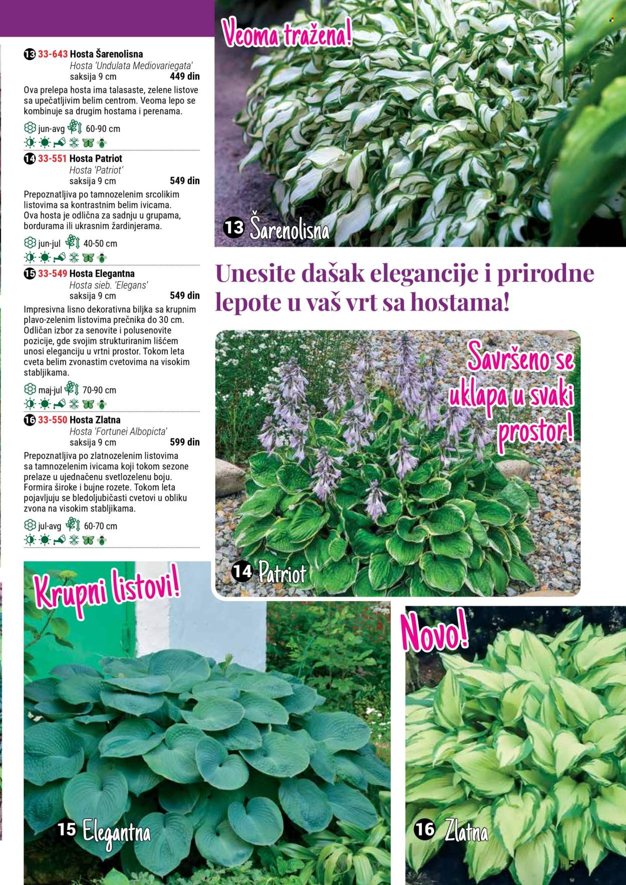 Flora Ekspres katalog. Stranica 51