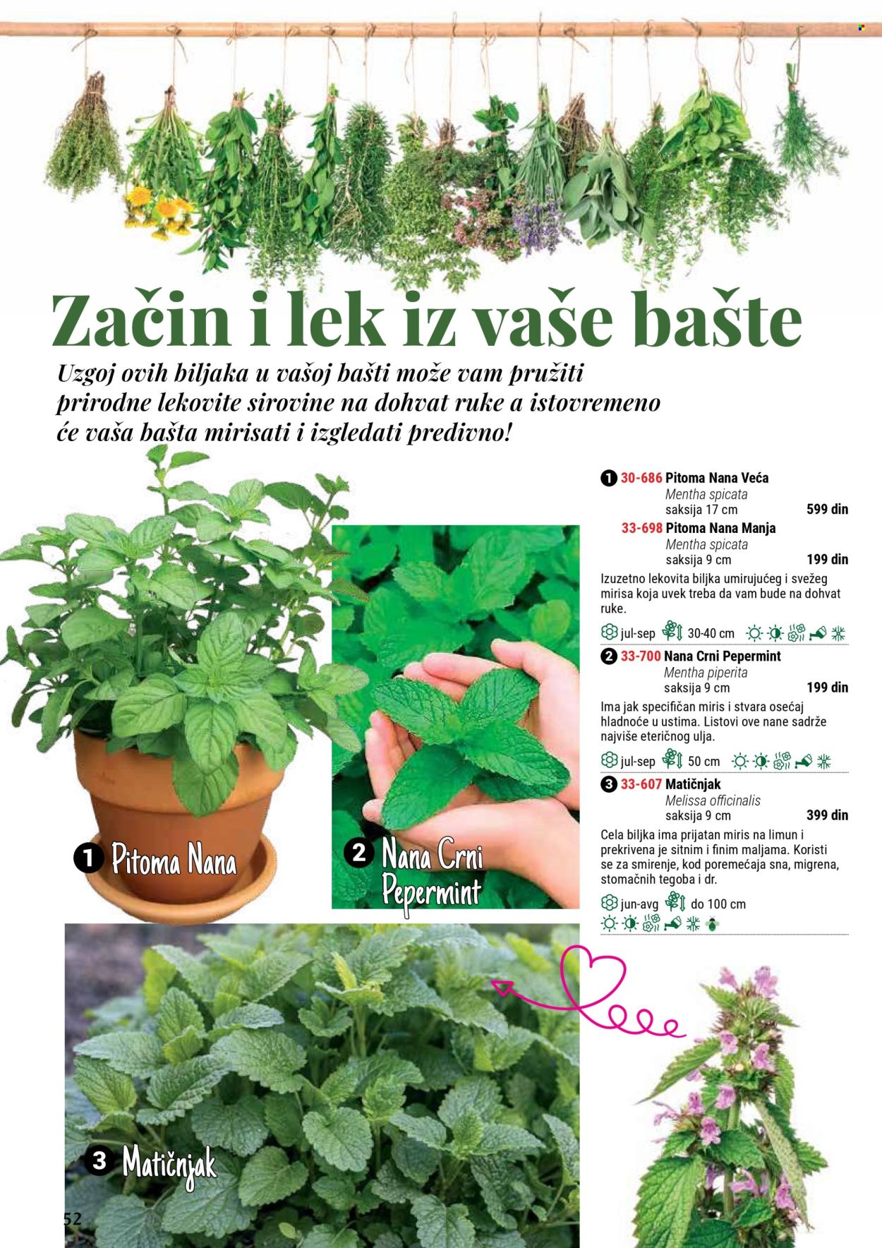 Flora Ekspres katalog. Stranica 52