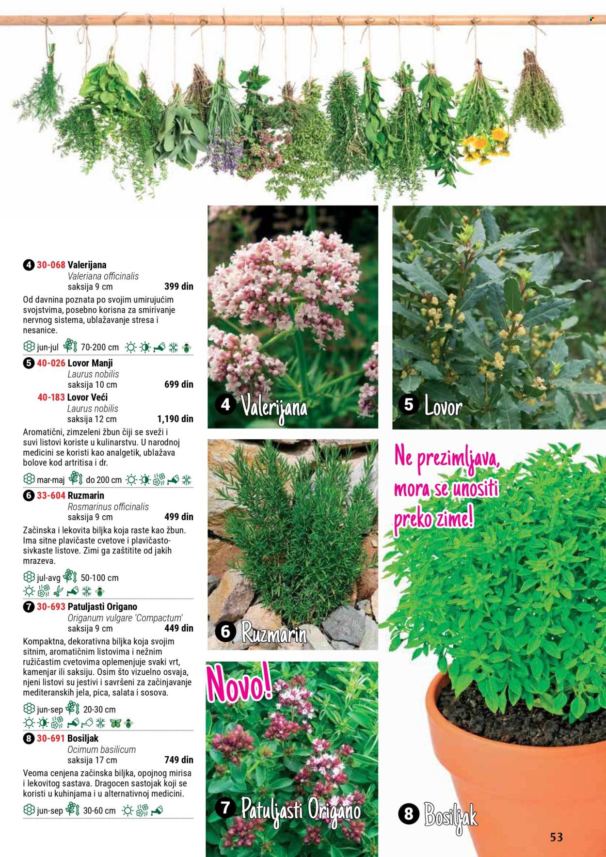 Flora Ekspres katalog. Stranica 53
