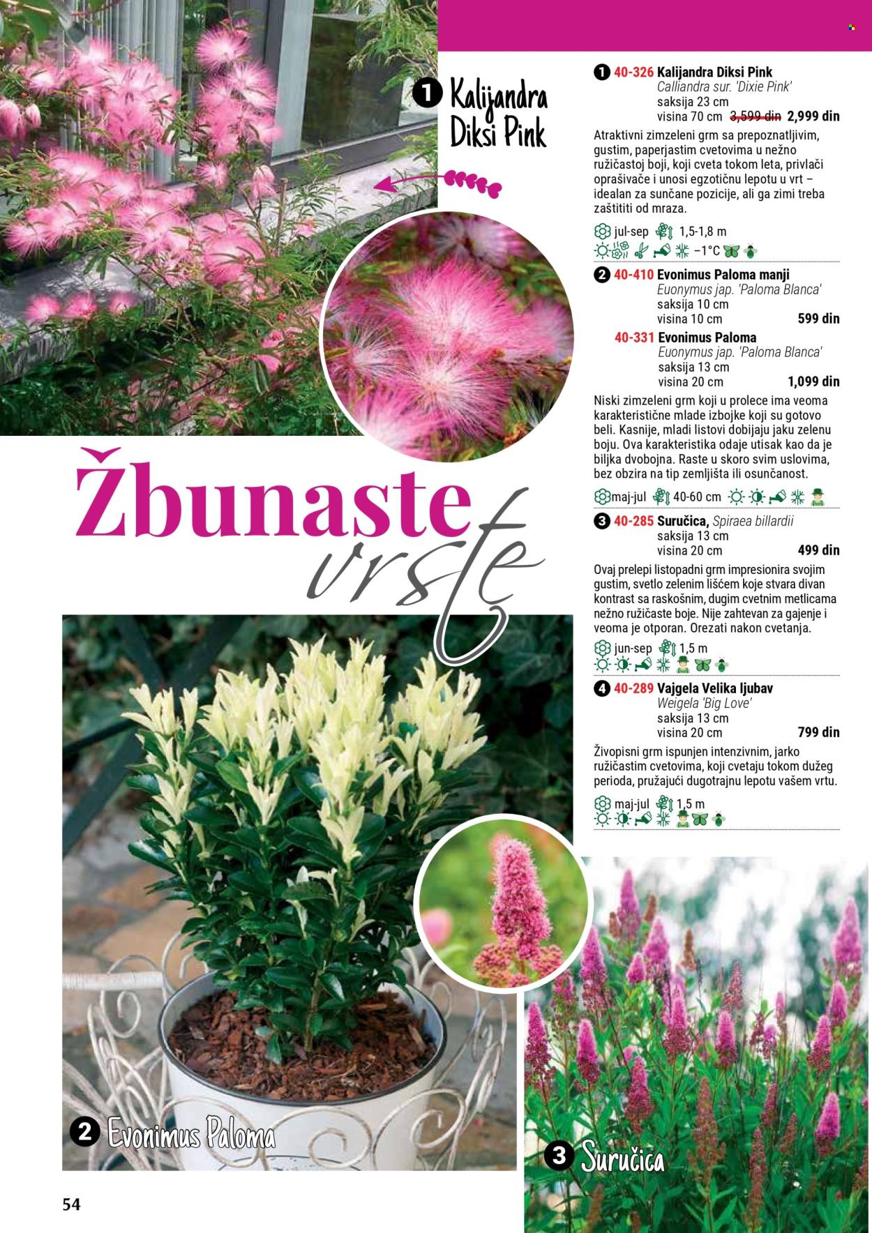 Flora Ekspres katalog. Stranica 54