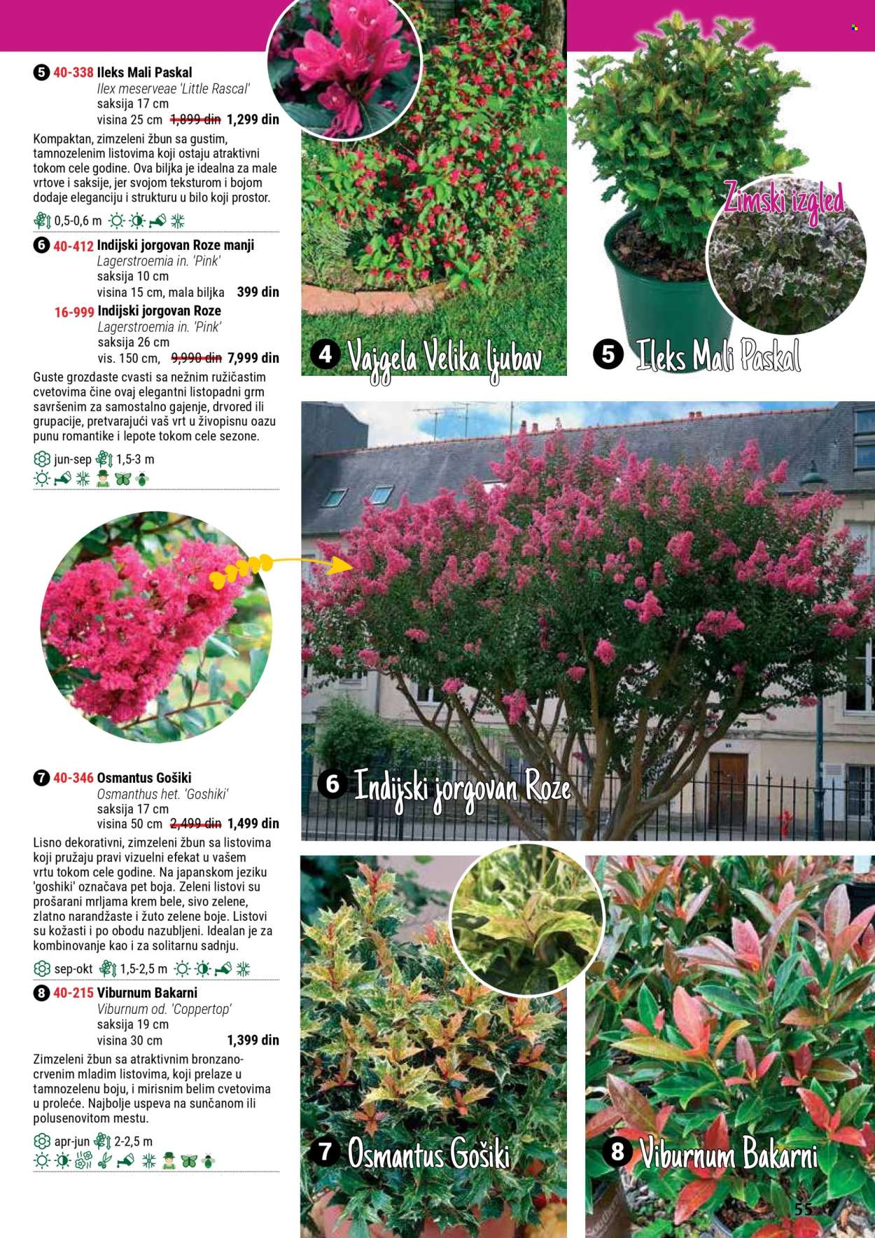 Flora Ekspres katalog. Stranica 55