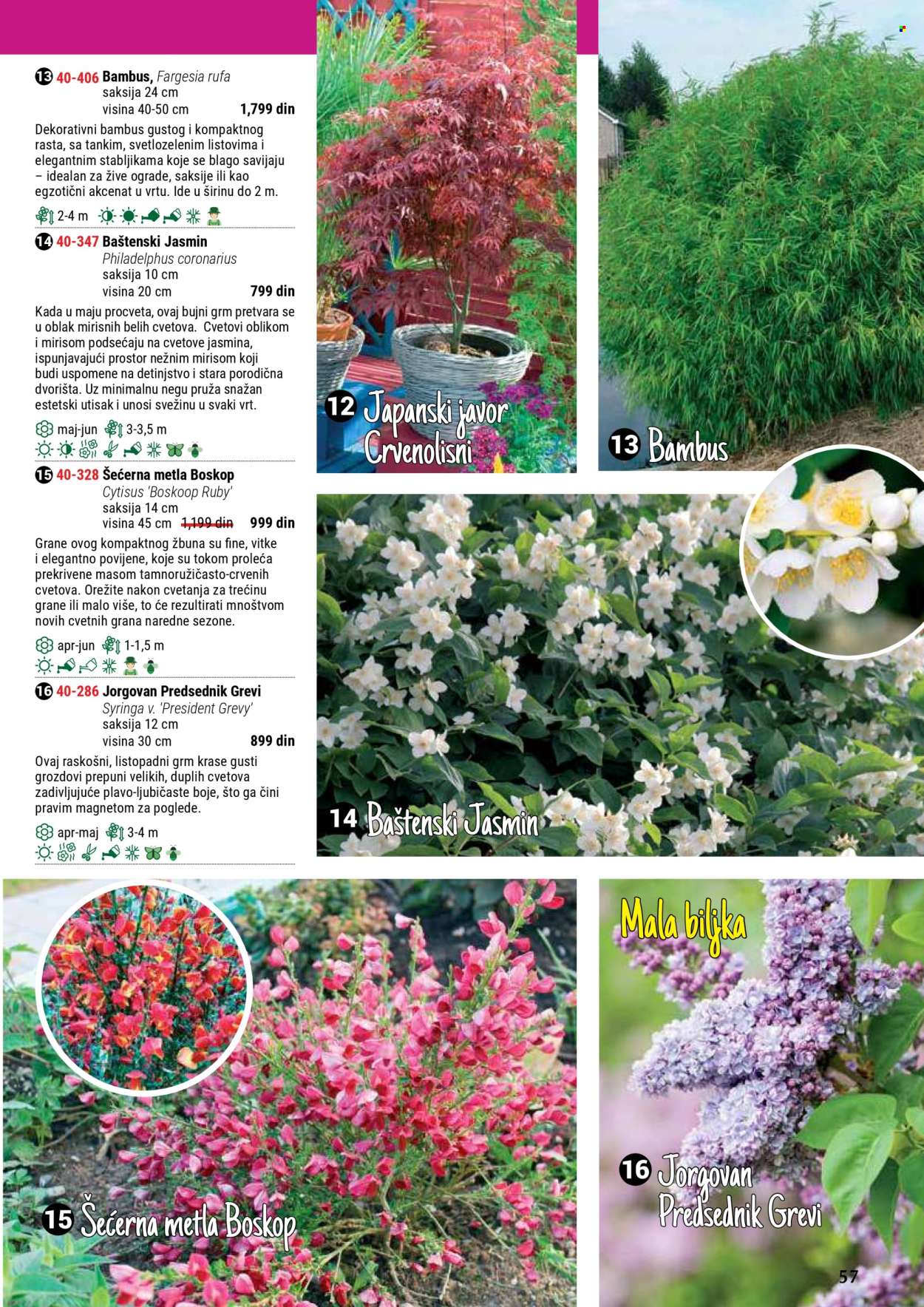 Flora Ekspres katalog. Stranica 57
