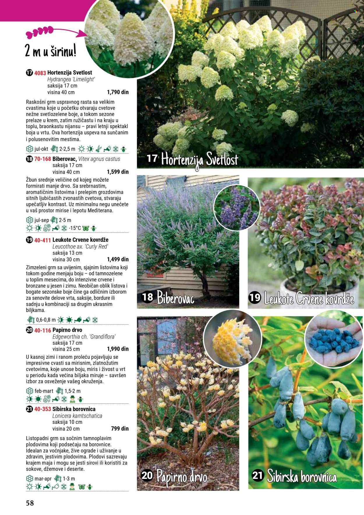 Flora Ekspres katalog. Stranica 58