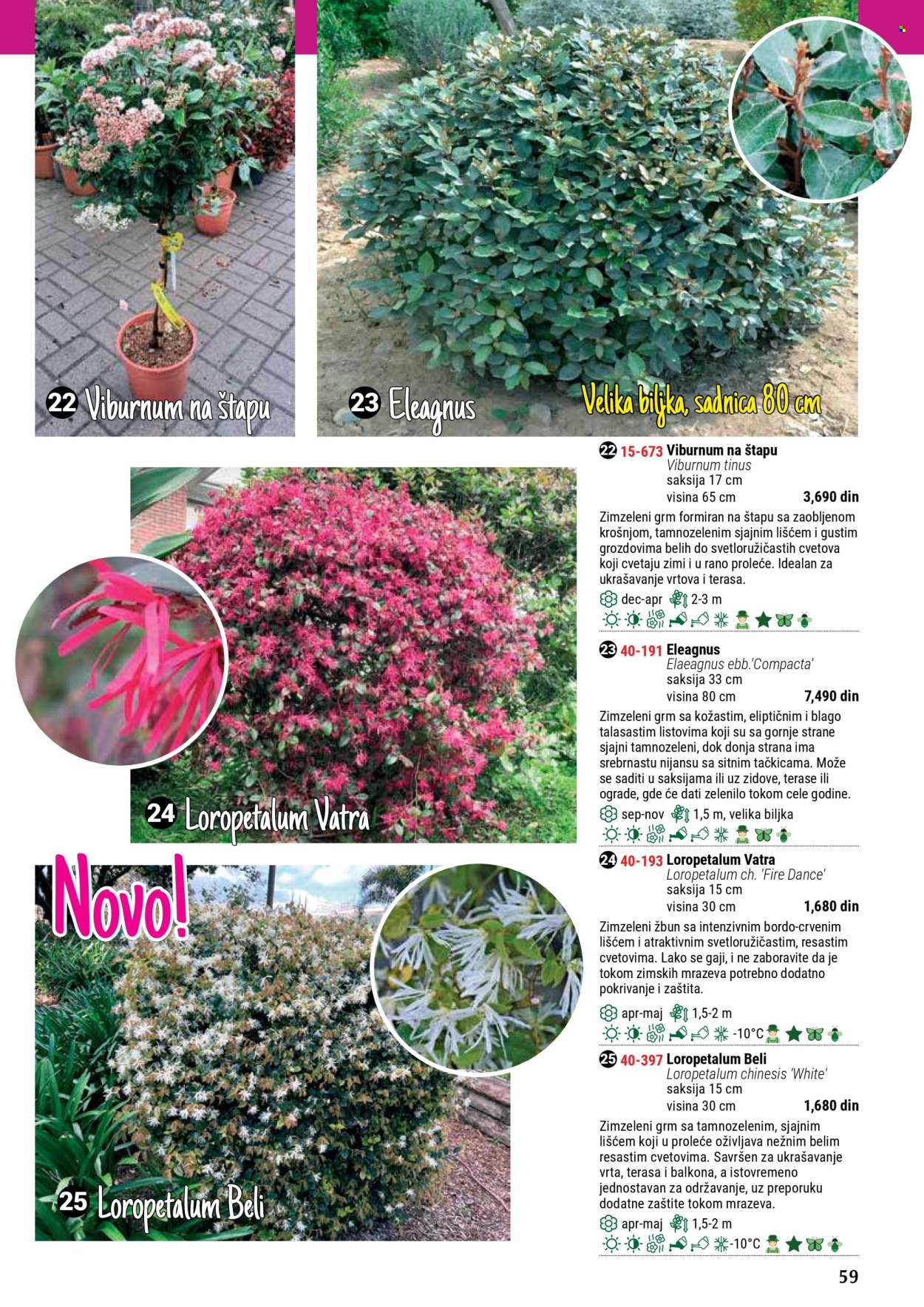 Flora Ekspres katalog. Stranica 59