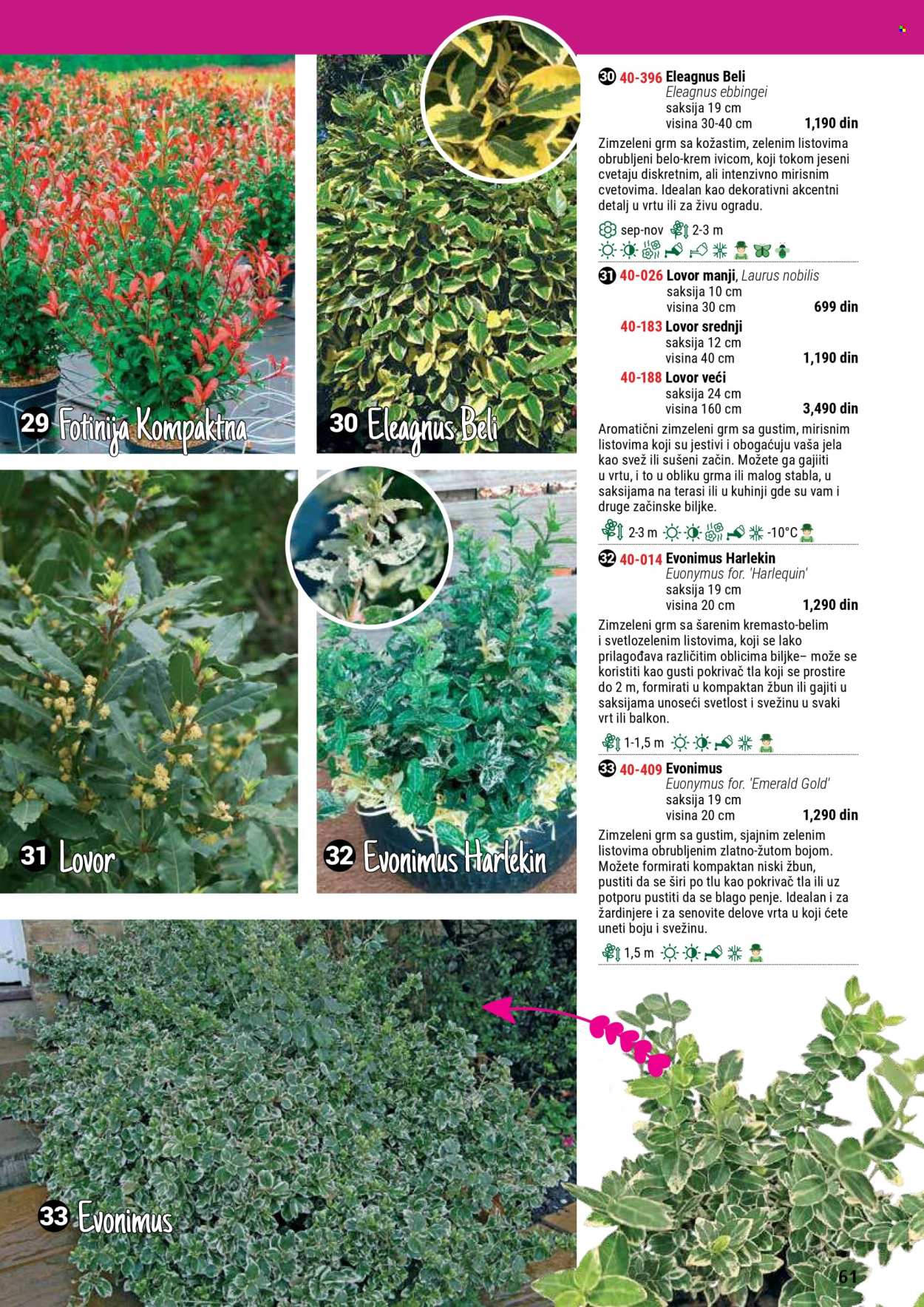 Flora Ekspres katalog. Stranica 61