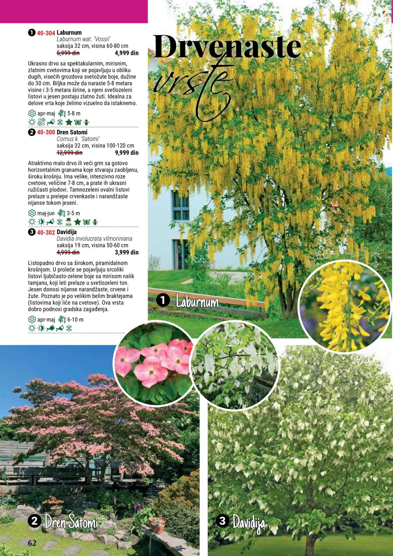 Flora Ekspres katalog. Stranica 62