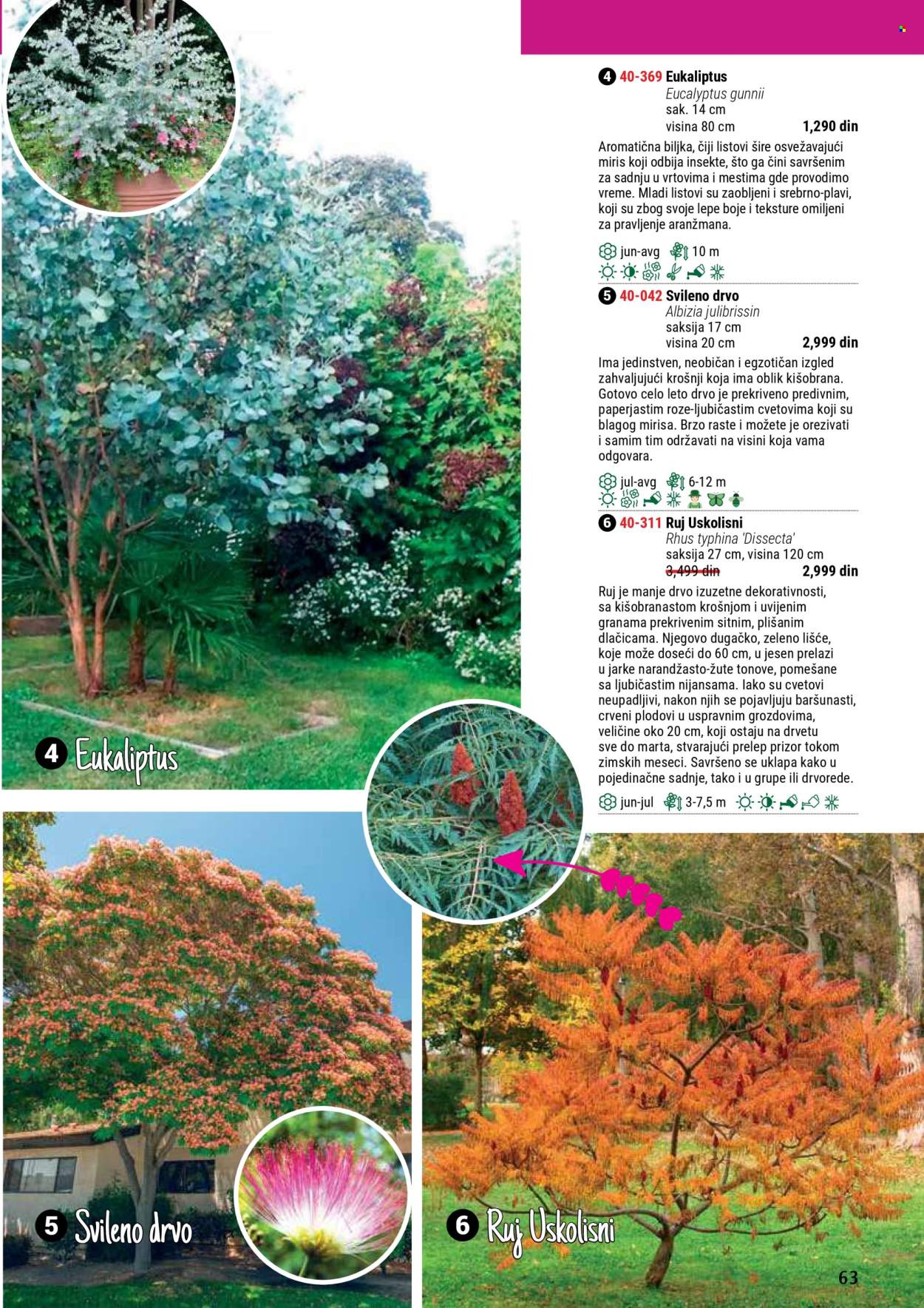 Flora Ekspres katalog. Stranica 63