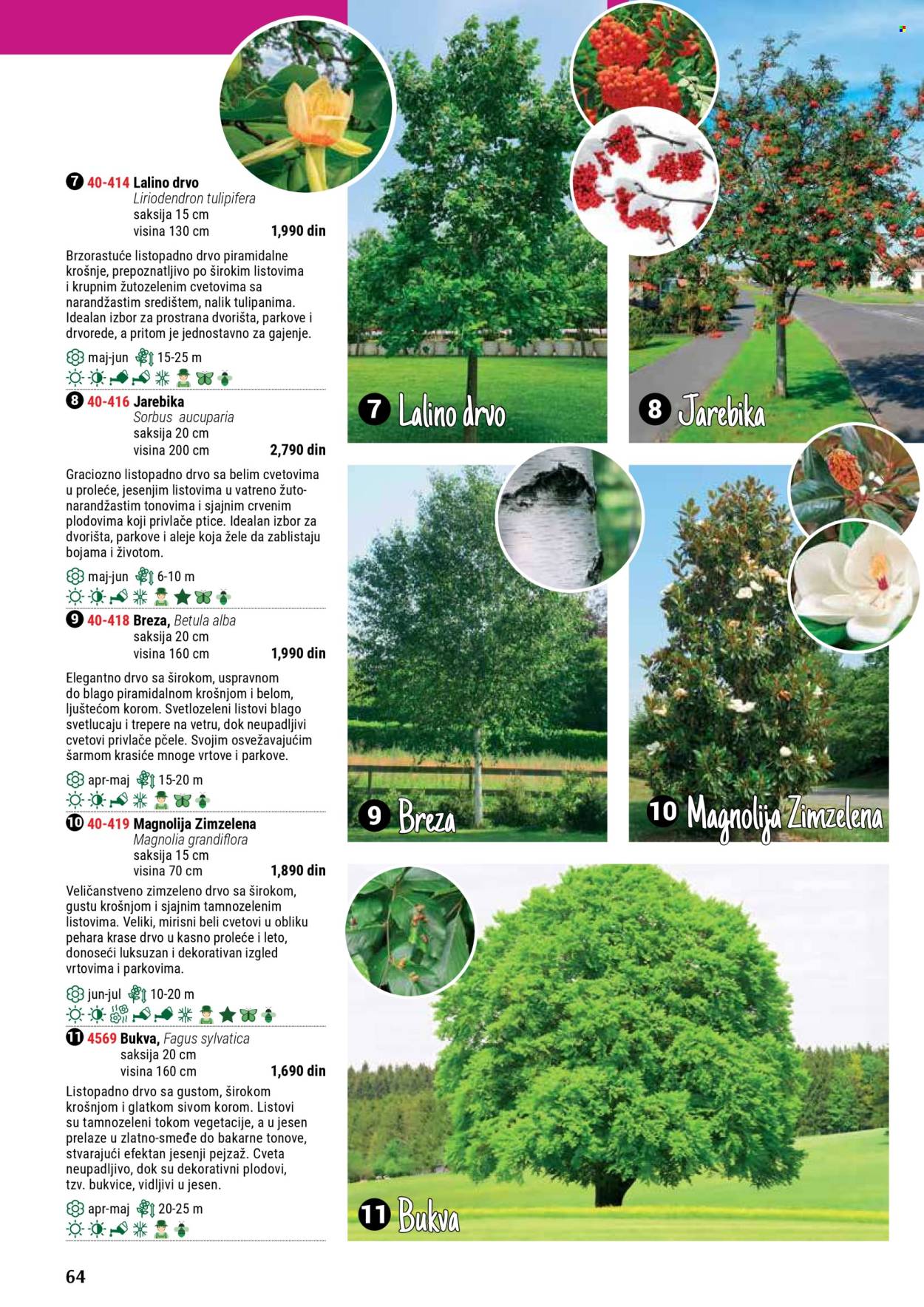 Flora Ekspres katalog. Stranica 64