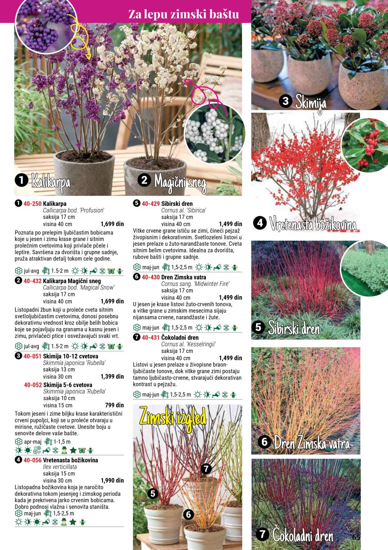 Flora Ekspres katalog. Stranica 65