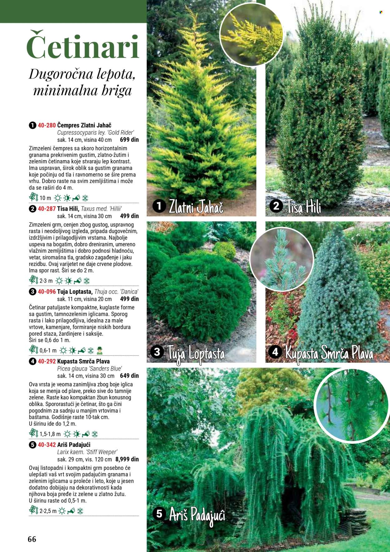 Flora Ekspres katalog. Stranica 66