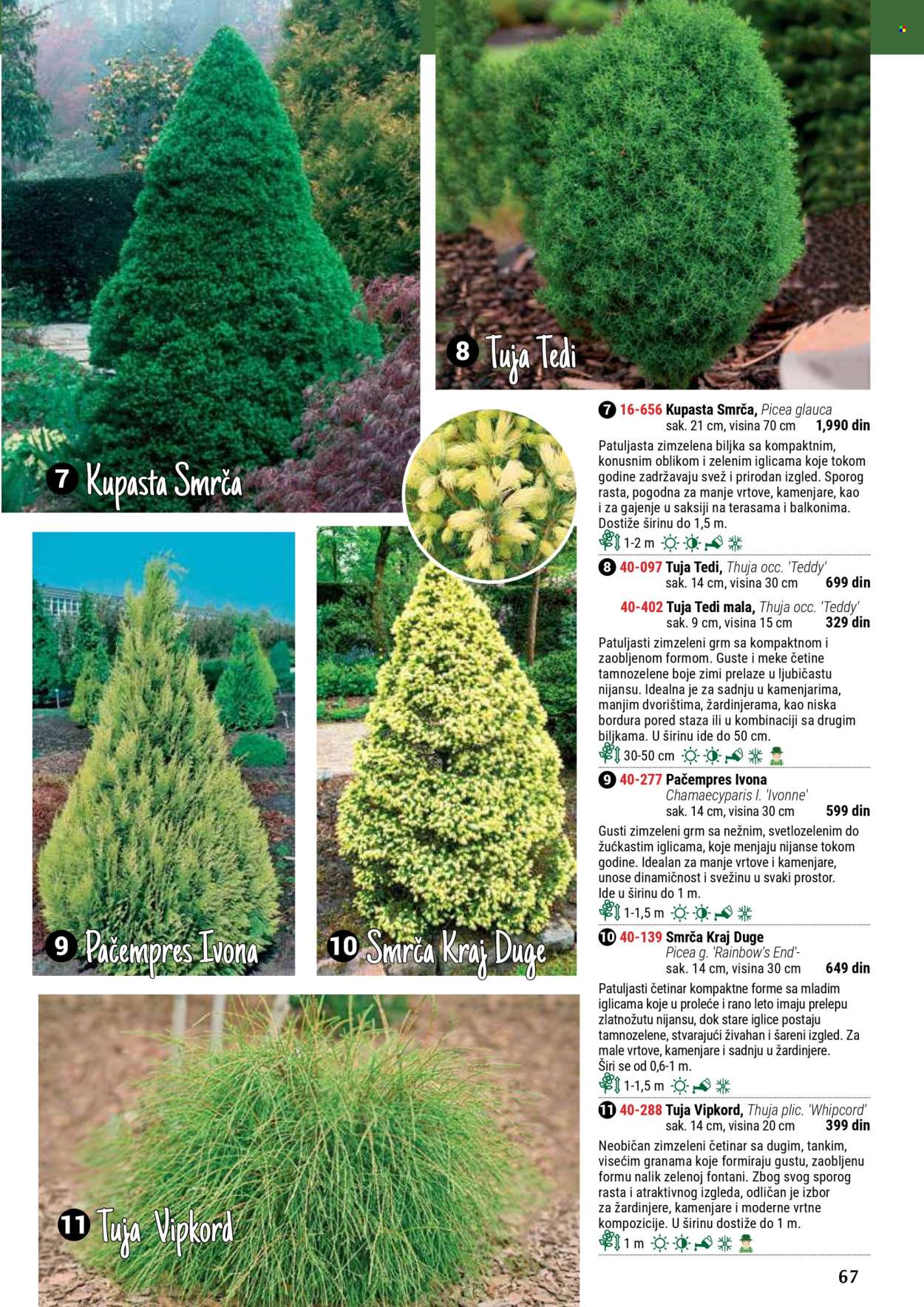 Flora Ekspres katalog. Stranica 67