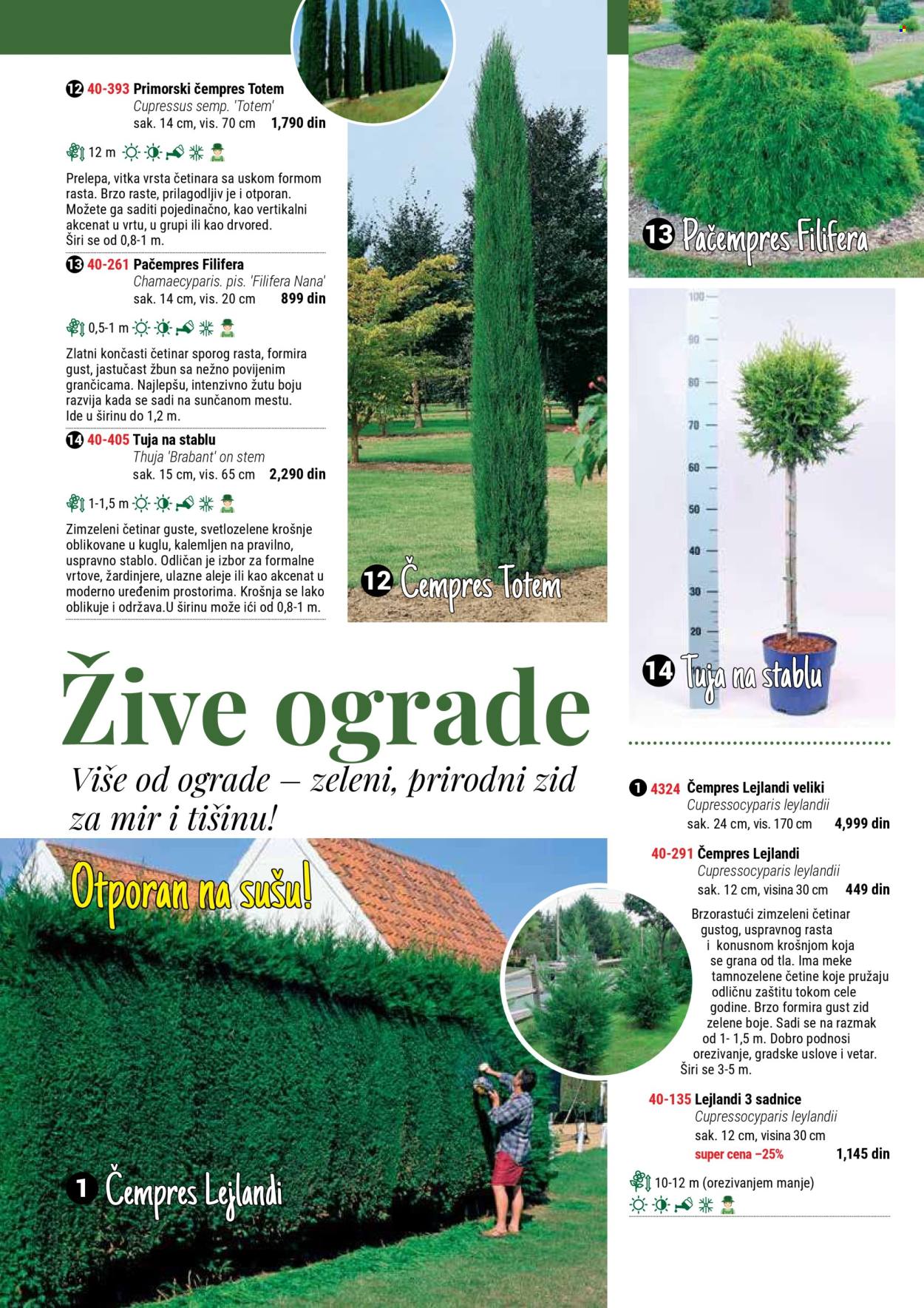 Flora Ekspres katalog. Stranica 68
