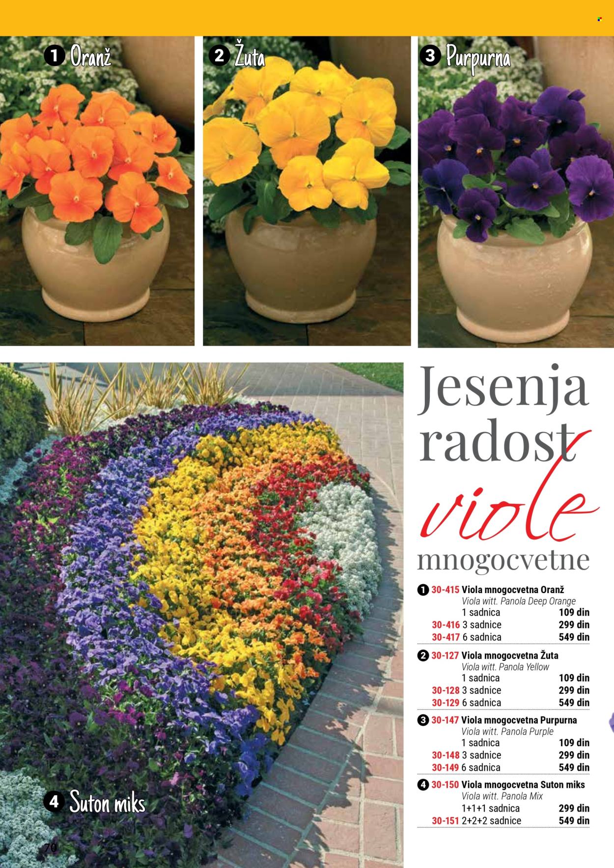 Flora Ekspres katalog. Stranica 70