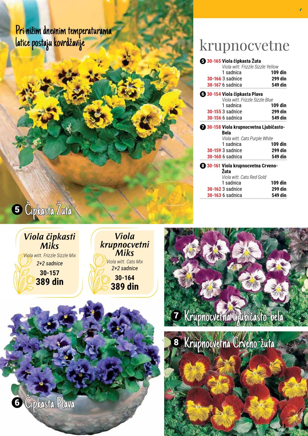 Flora Ekspres katalog. Stranica 71