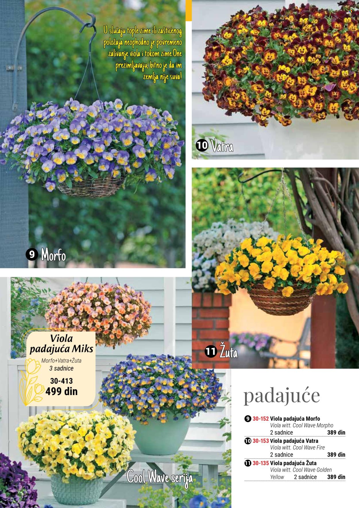 Flora Ekspres katalog. Stranica 72