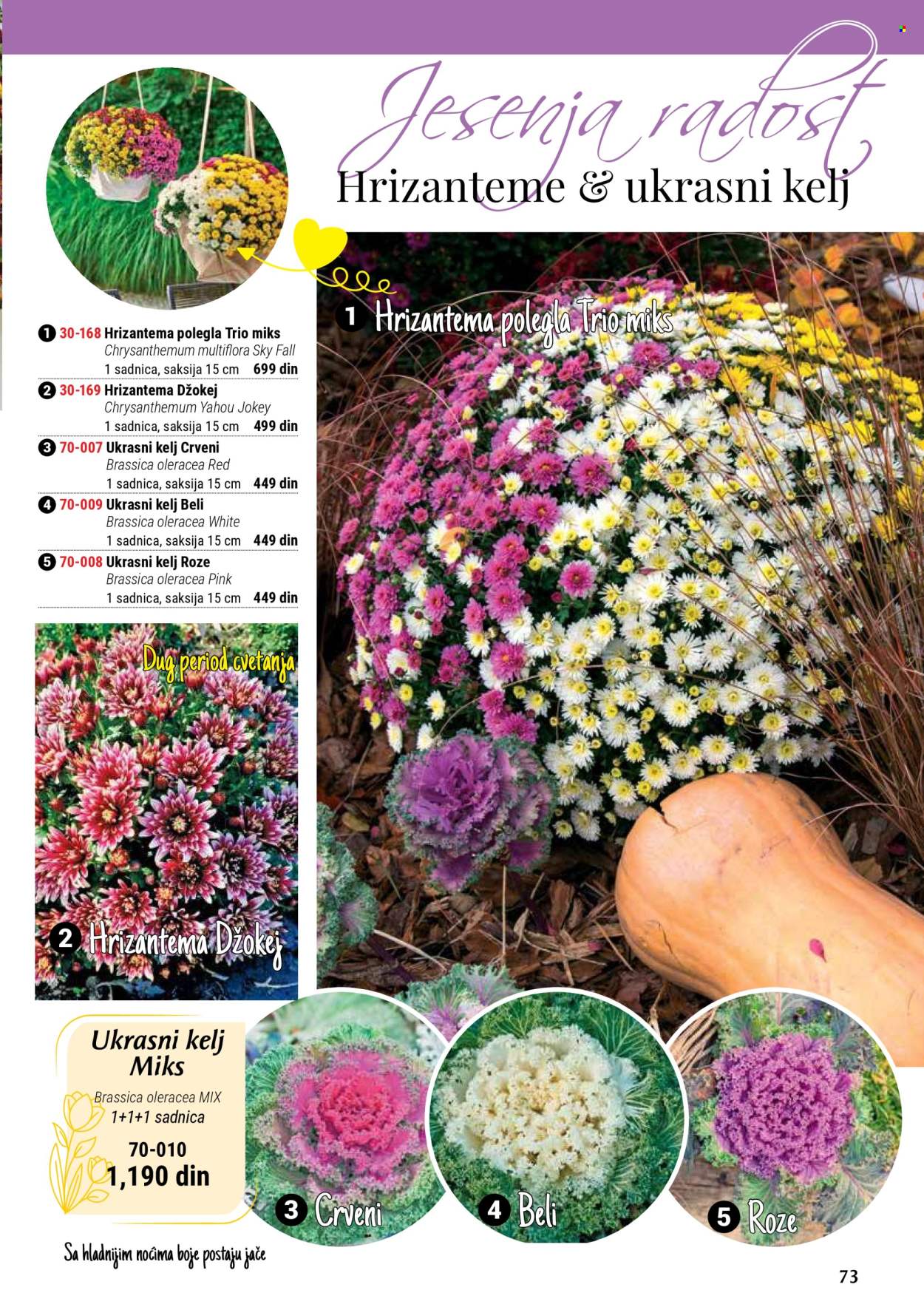 Flora Ekspres katalog. Stranica 73