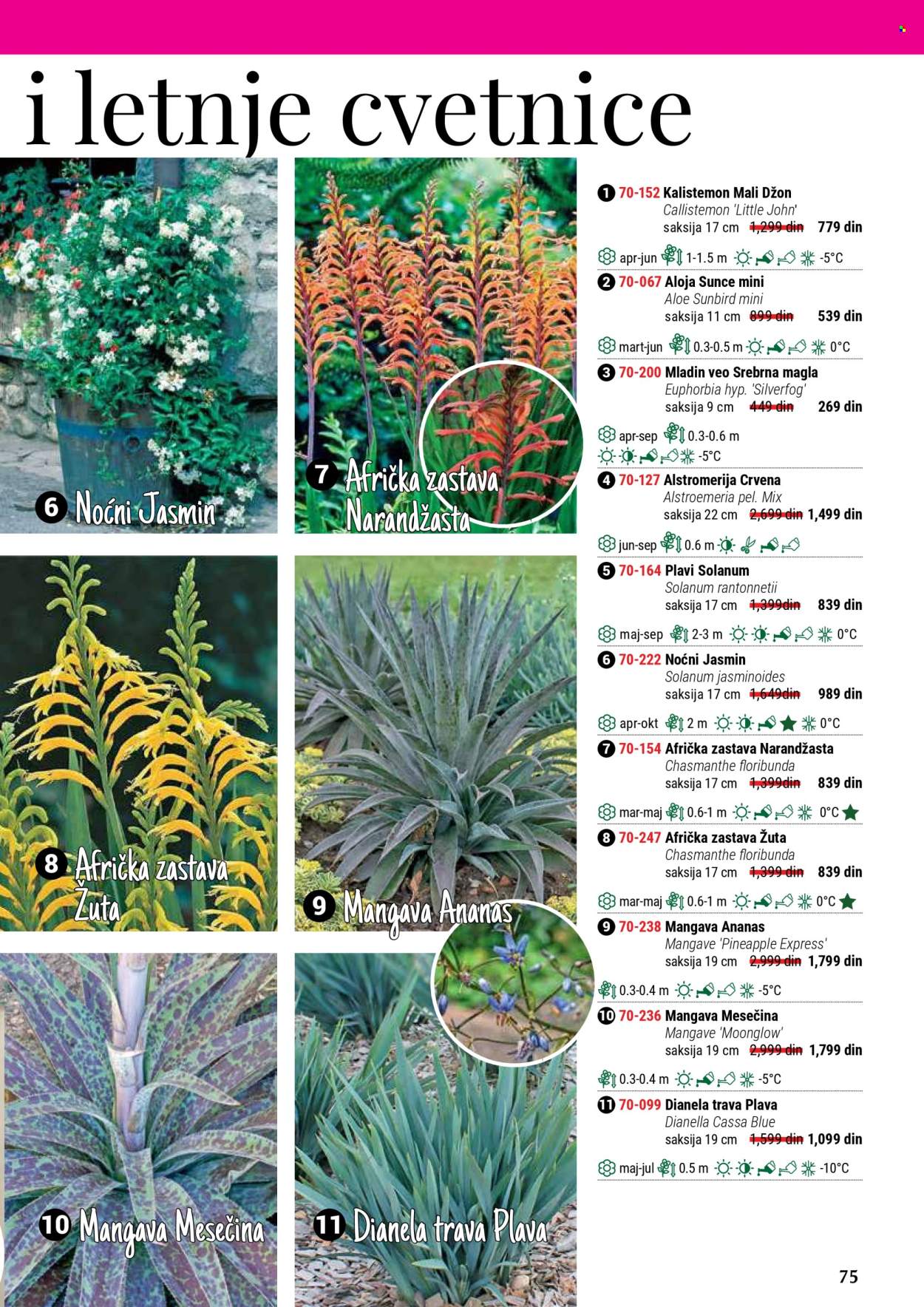 Flora Ekspres katalog. Stranica 75
