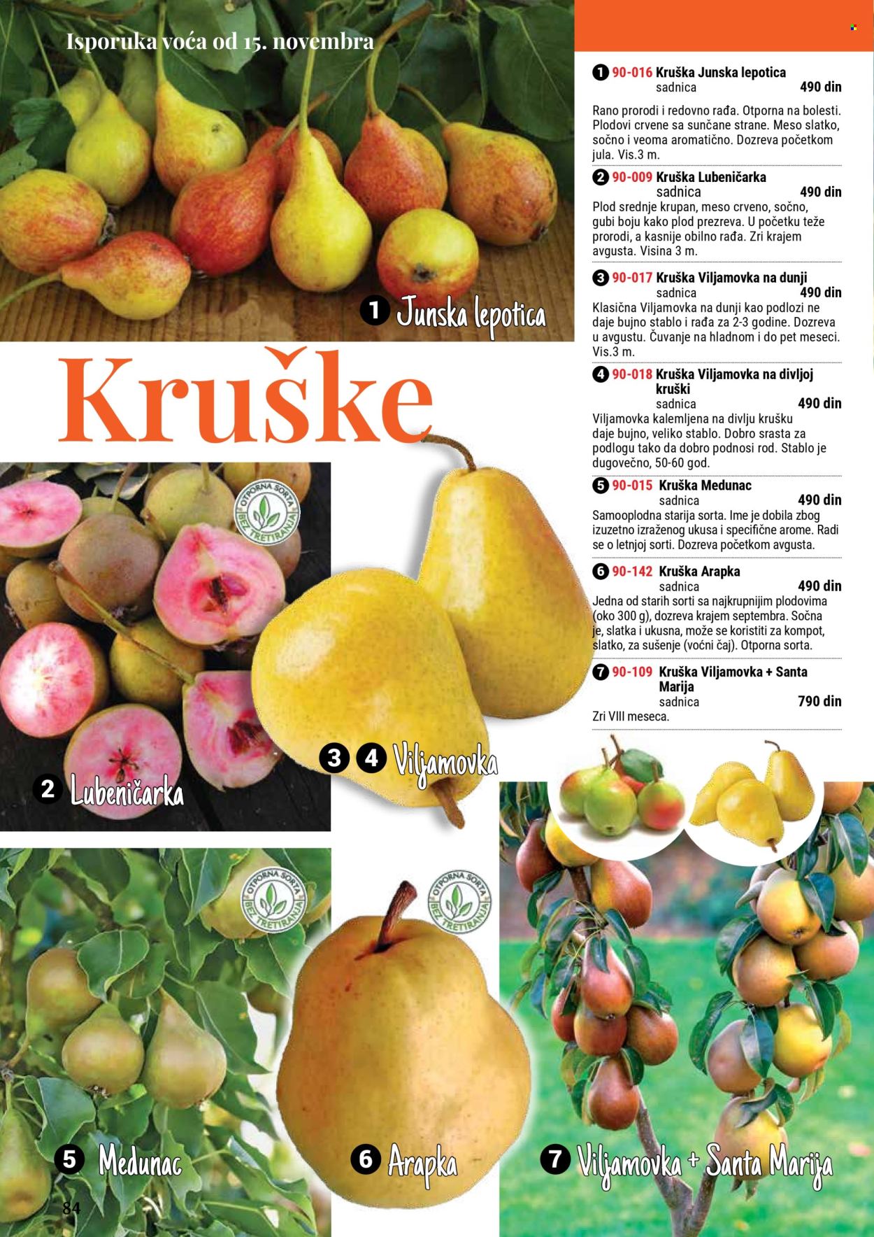 Flora Ekspres katalog. Stranica 84