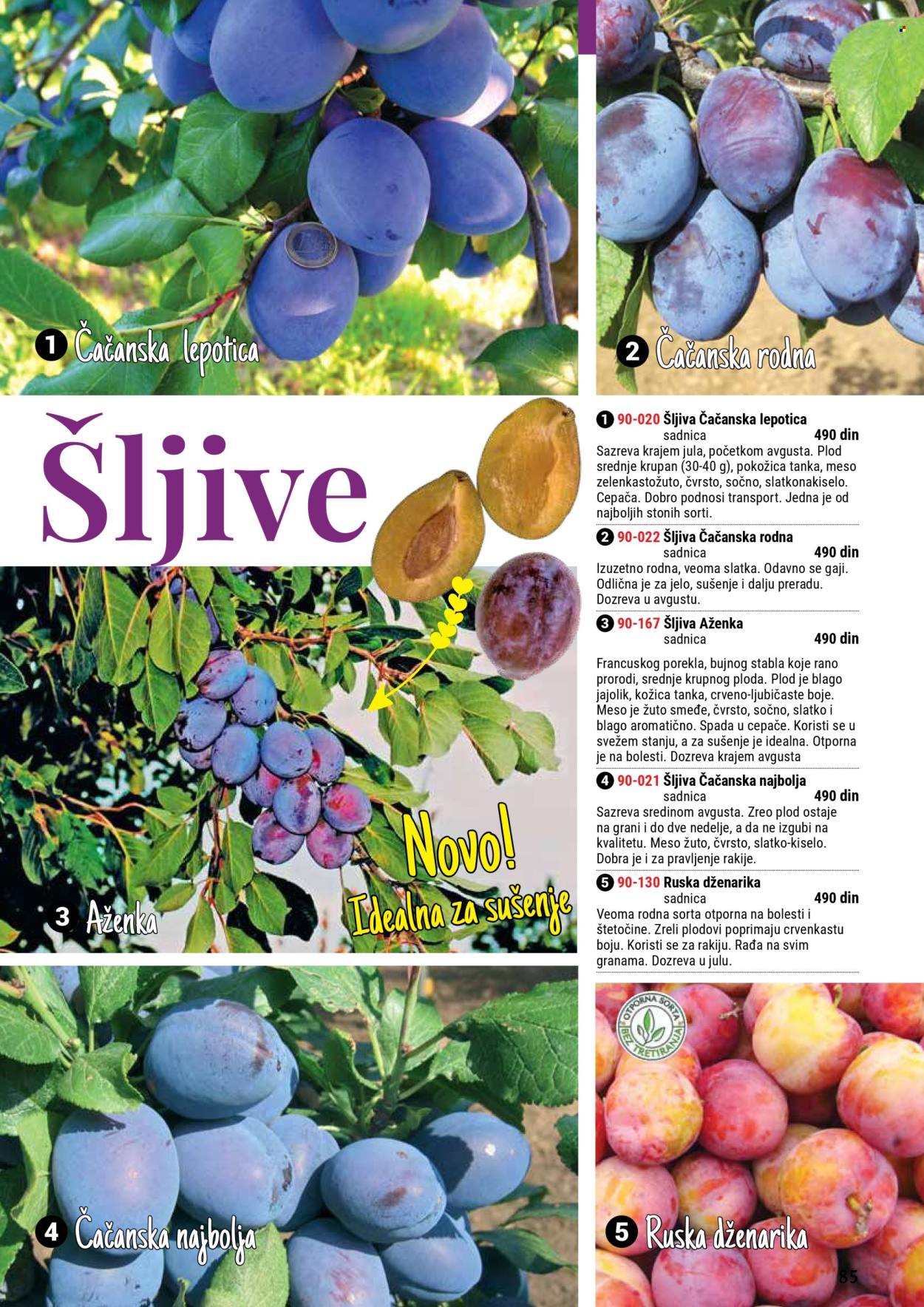 Flora Ekspres katalog. Stranica 85
