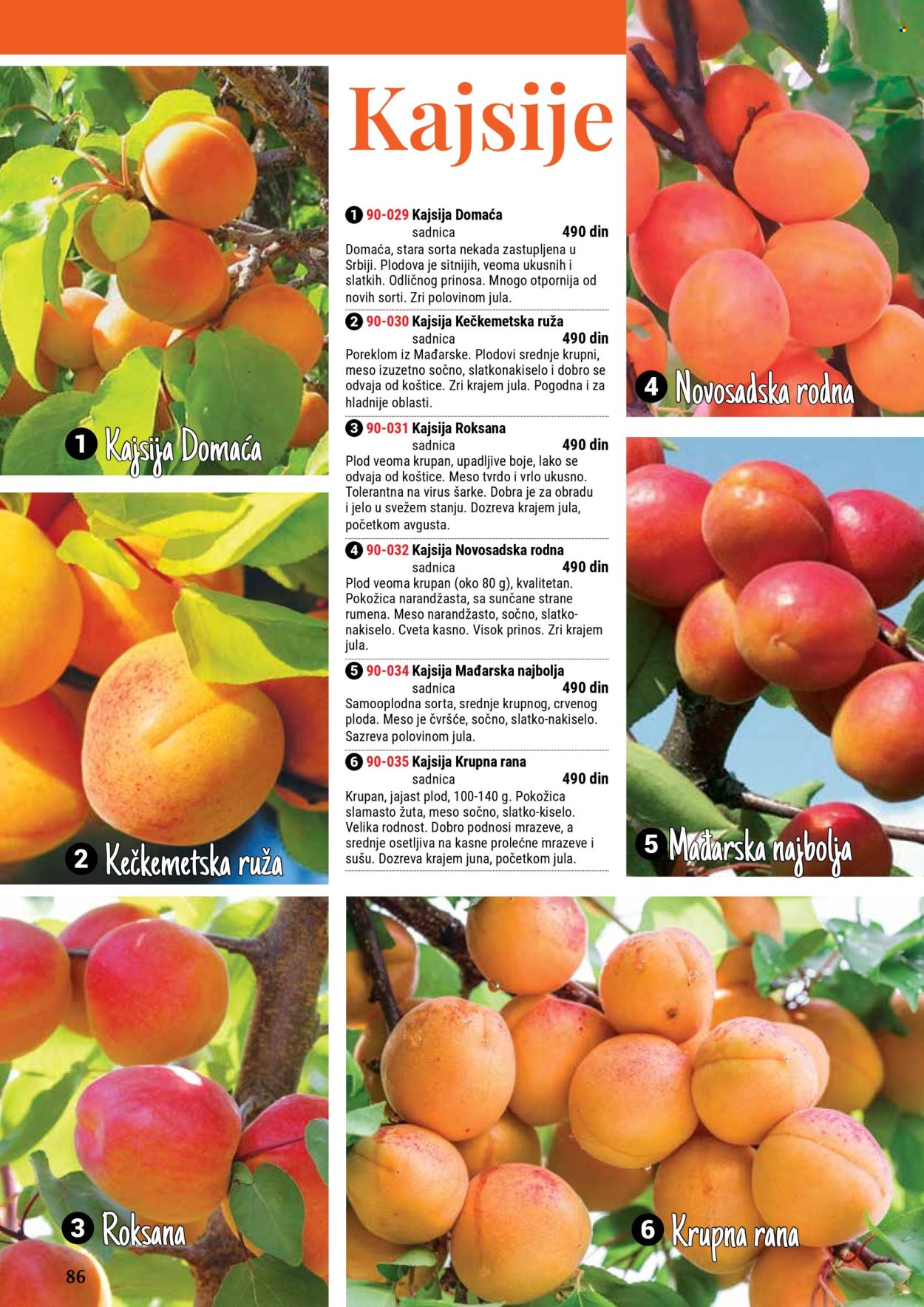 Flora Ekspres katalog. Stranica 86
