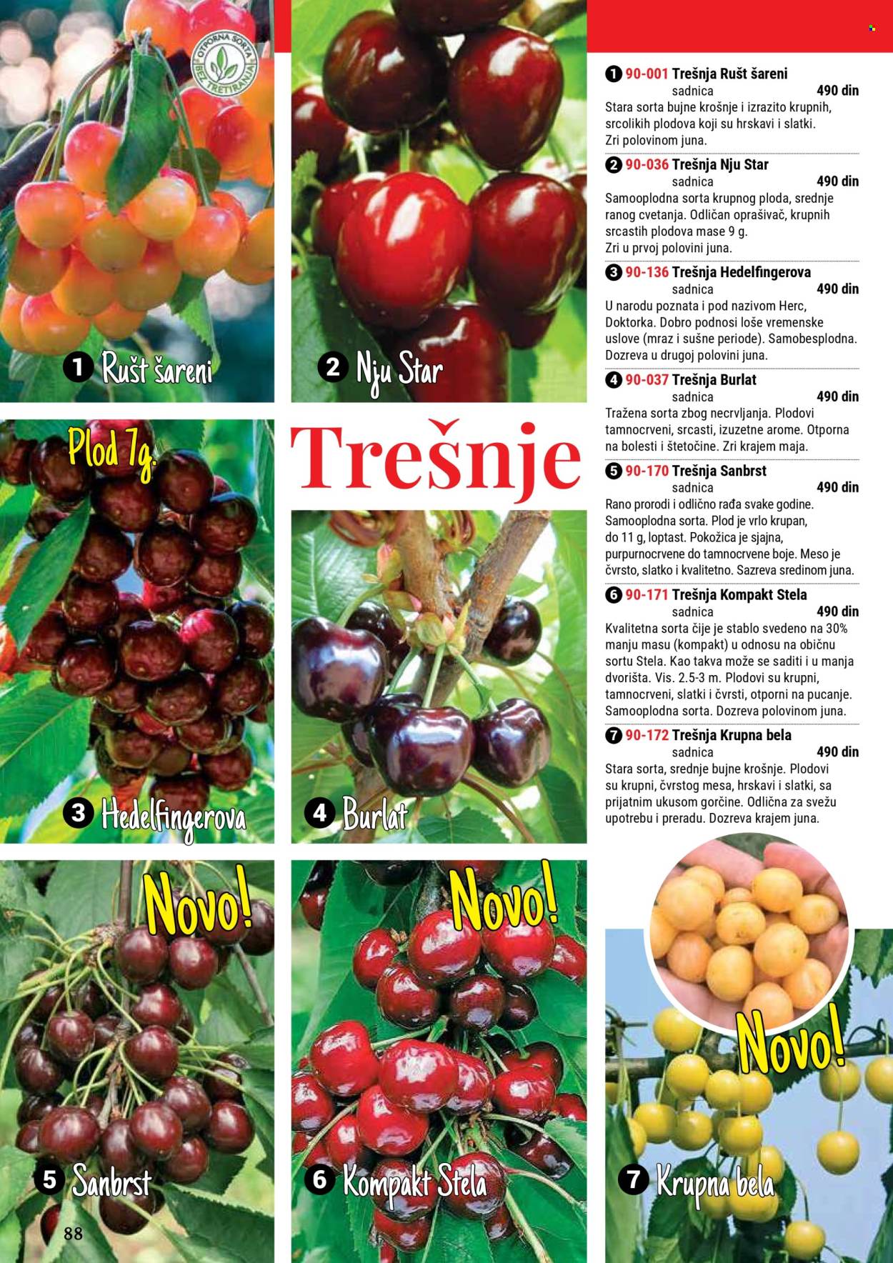 Flora Ekspres katalog. Stranica 88