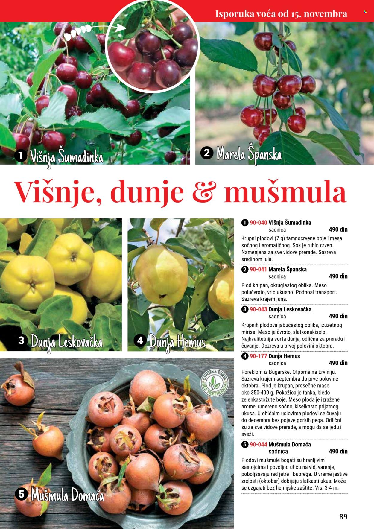 Flora Ekspres katalog. Stranica 89