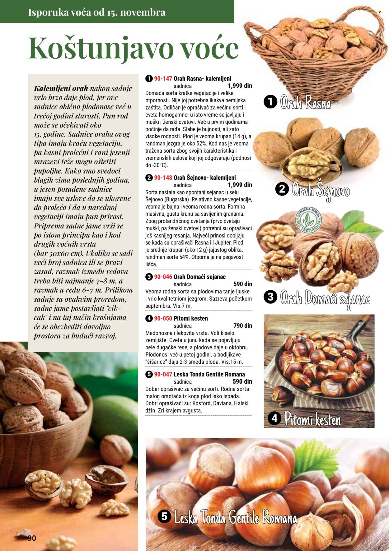 Flora Ekspres katalog. Stranica 90