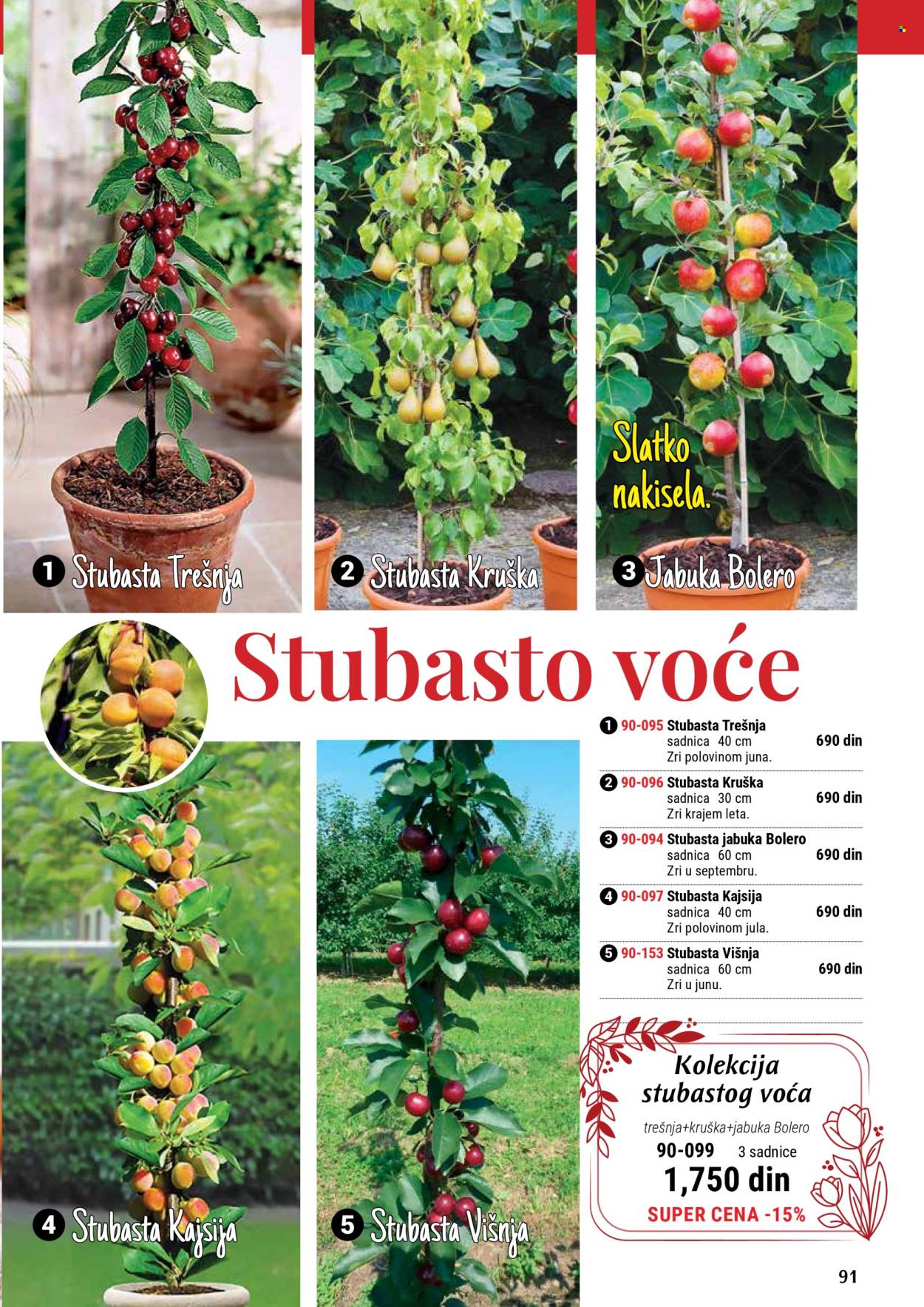 Flora Ekspres katalog. Stranica 91