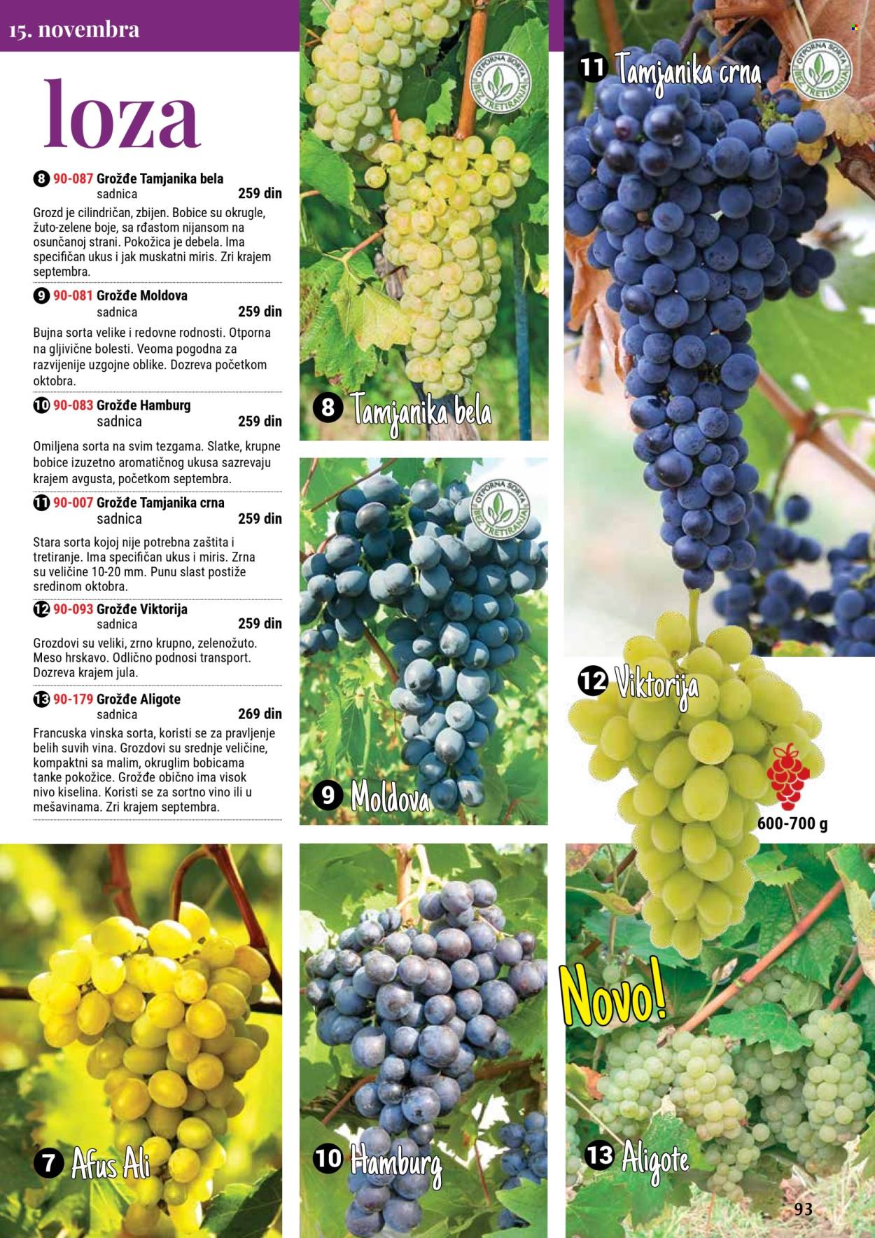 Flora Ekspres katalog. Stranica 93
