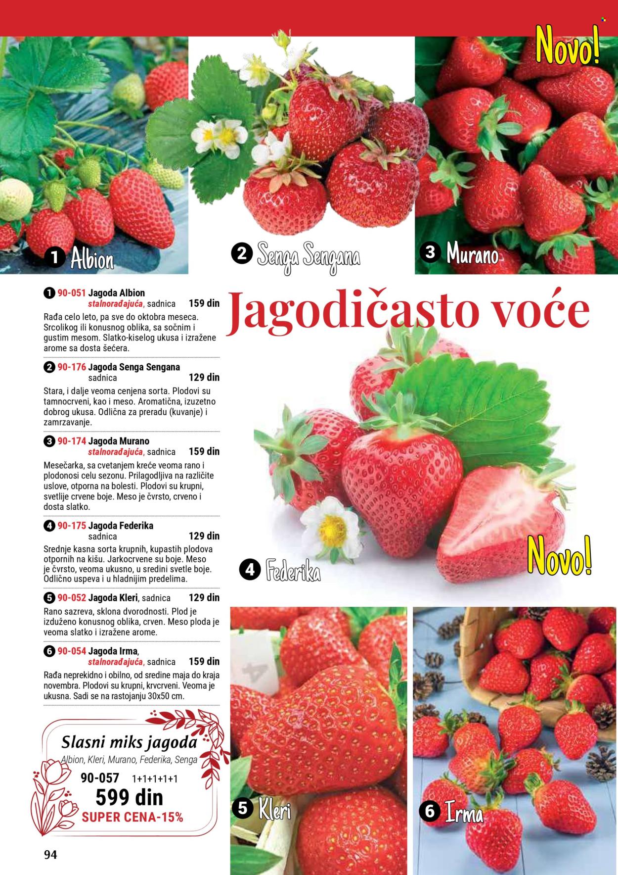 Flora Ekspres katalog. Stranica 94