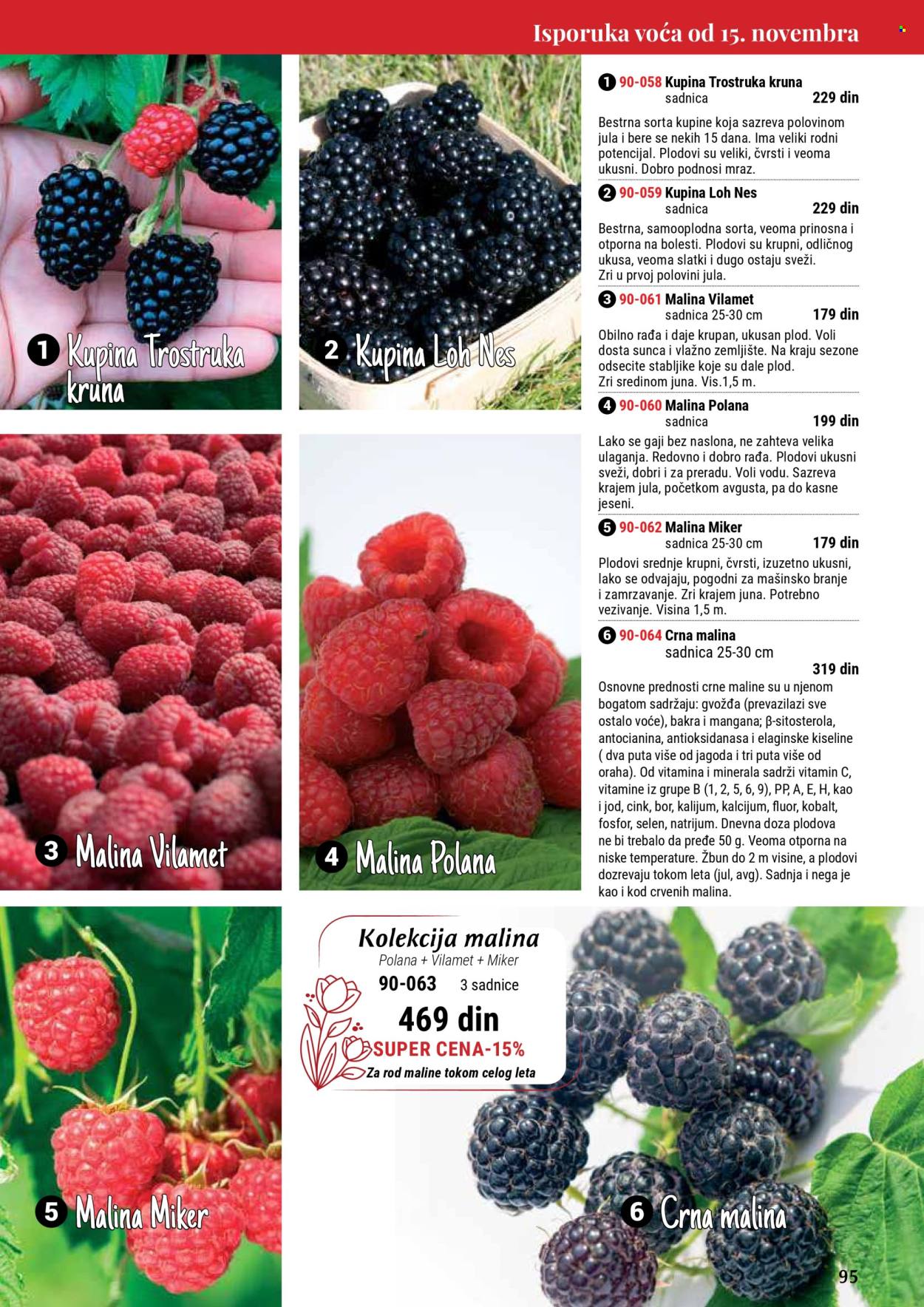 Flora Ekspres katalog. Stranica 95