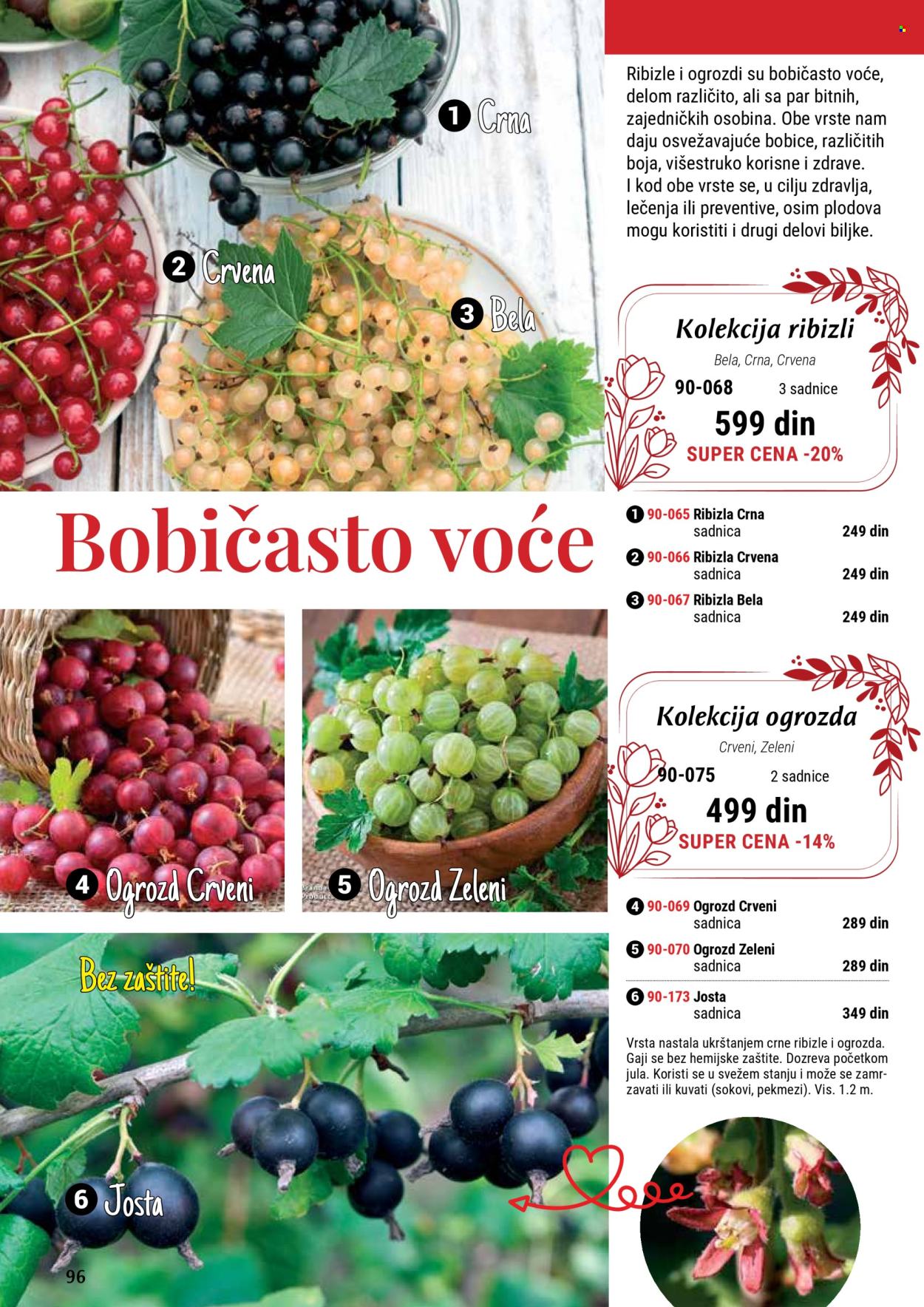 Flora Ekspres katalog. Stranica 96