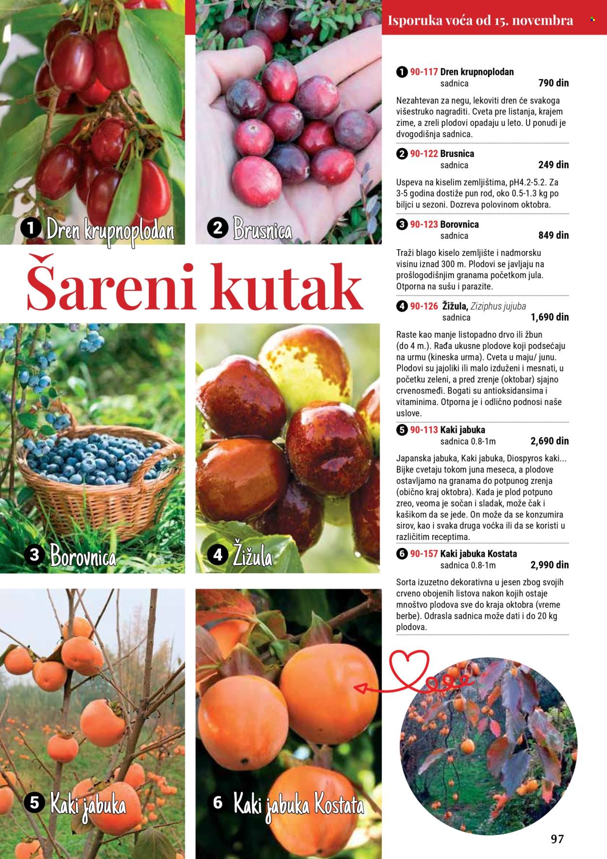 Flora Ekspres katalog. Stranica 97