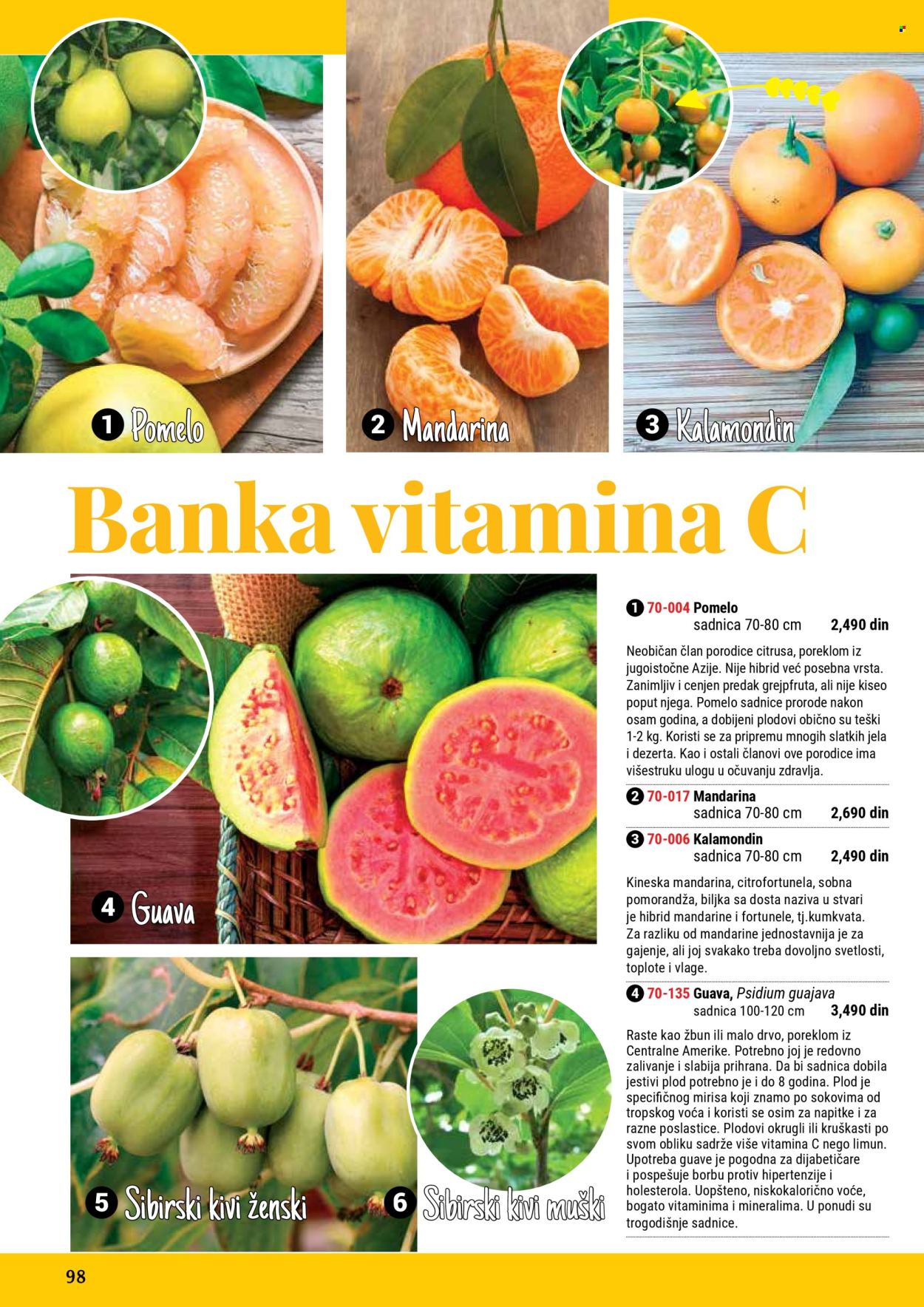 Flora Ekspres katalog. Stranica 98