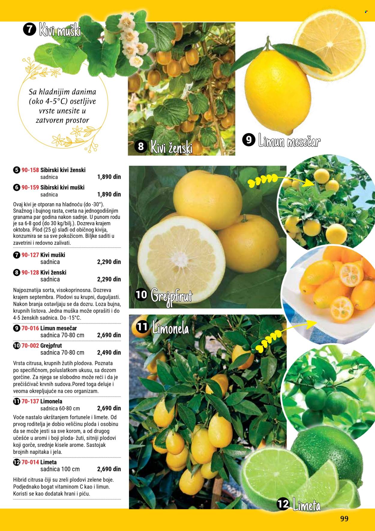 Flora Ekspres katalog. Stranica 99
