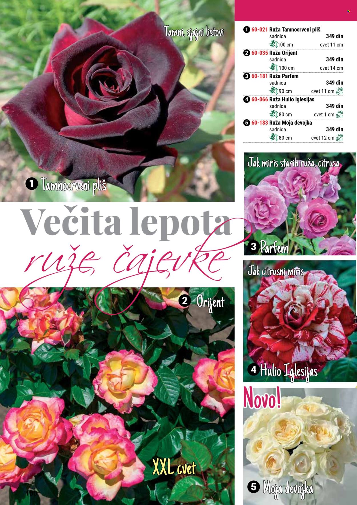 Flora Ekspres katalog. Stranica 100