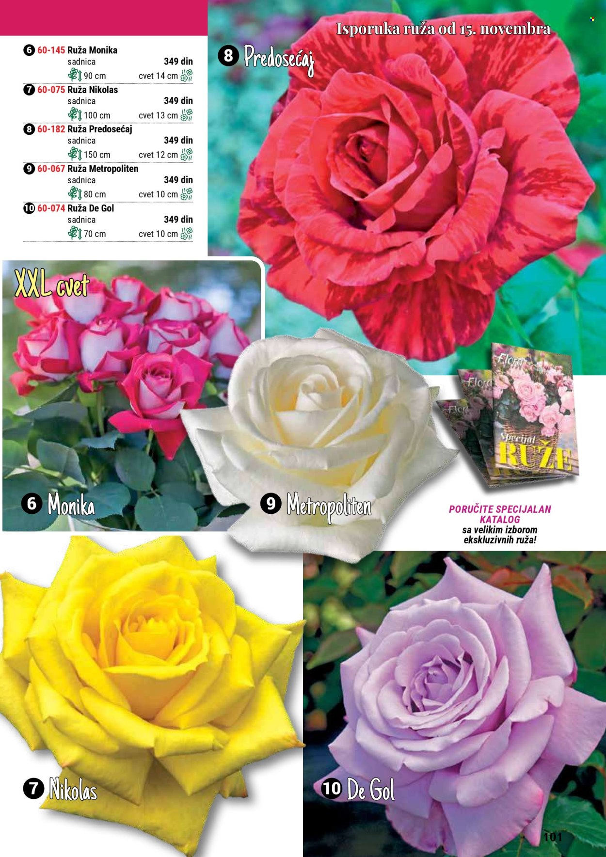 Flora Ekspres katalog. Stranica 101