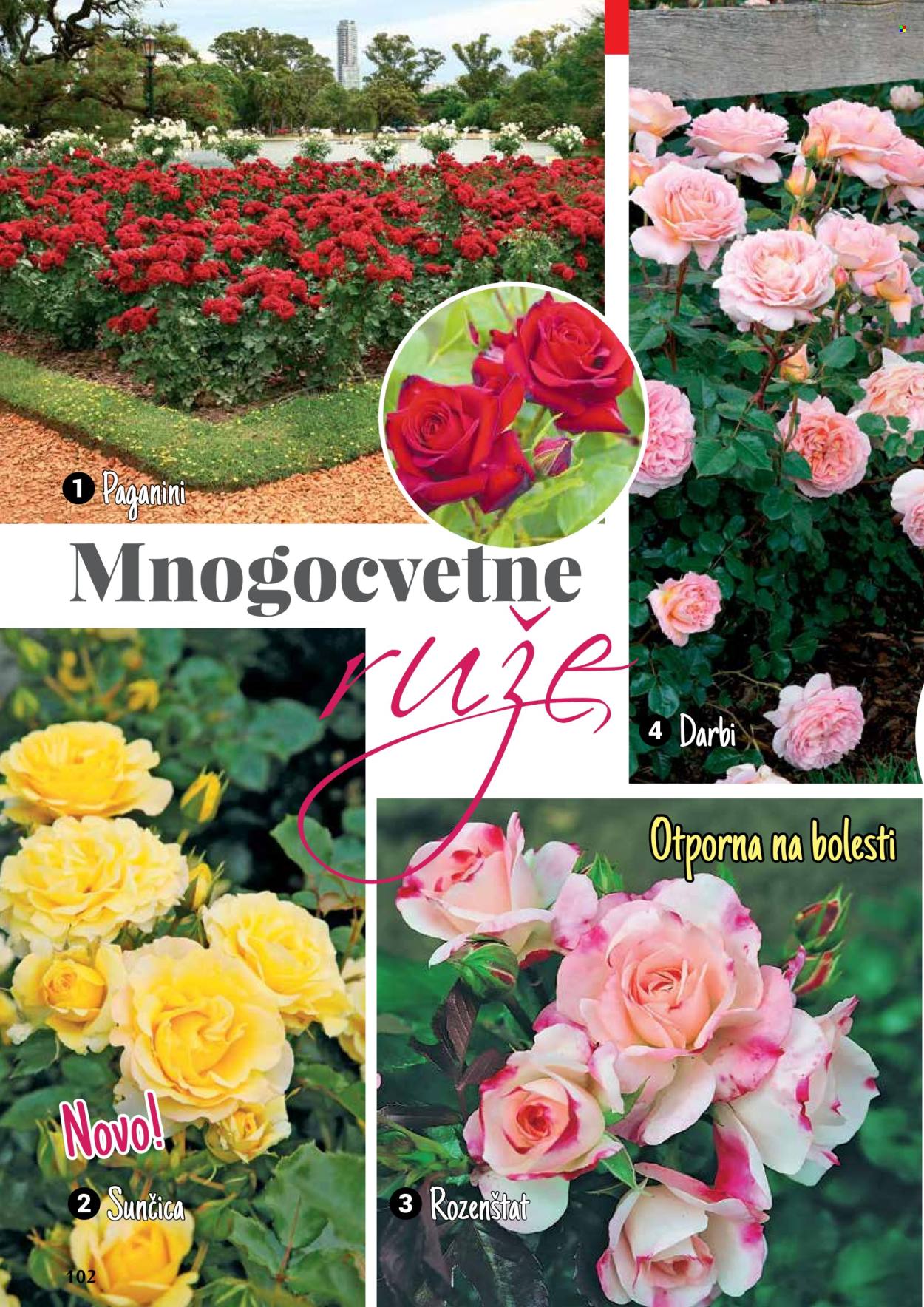 Flora Ekspres katalog. Stranica 102