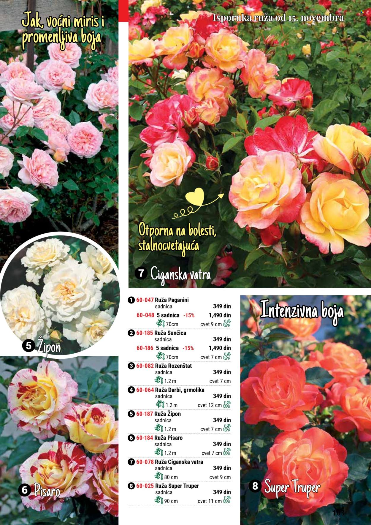 Flora Ekspres katalog. Stranica 103