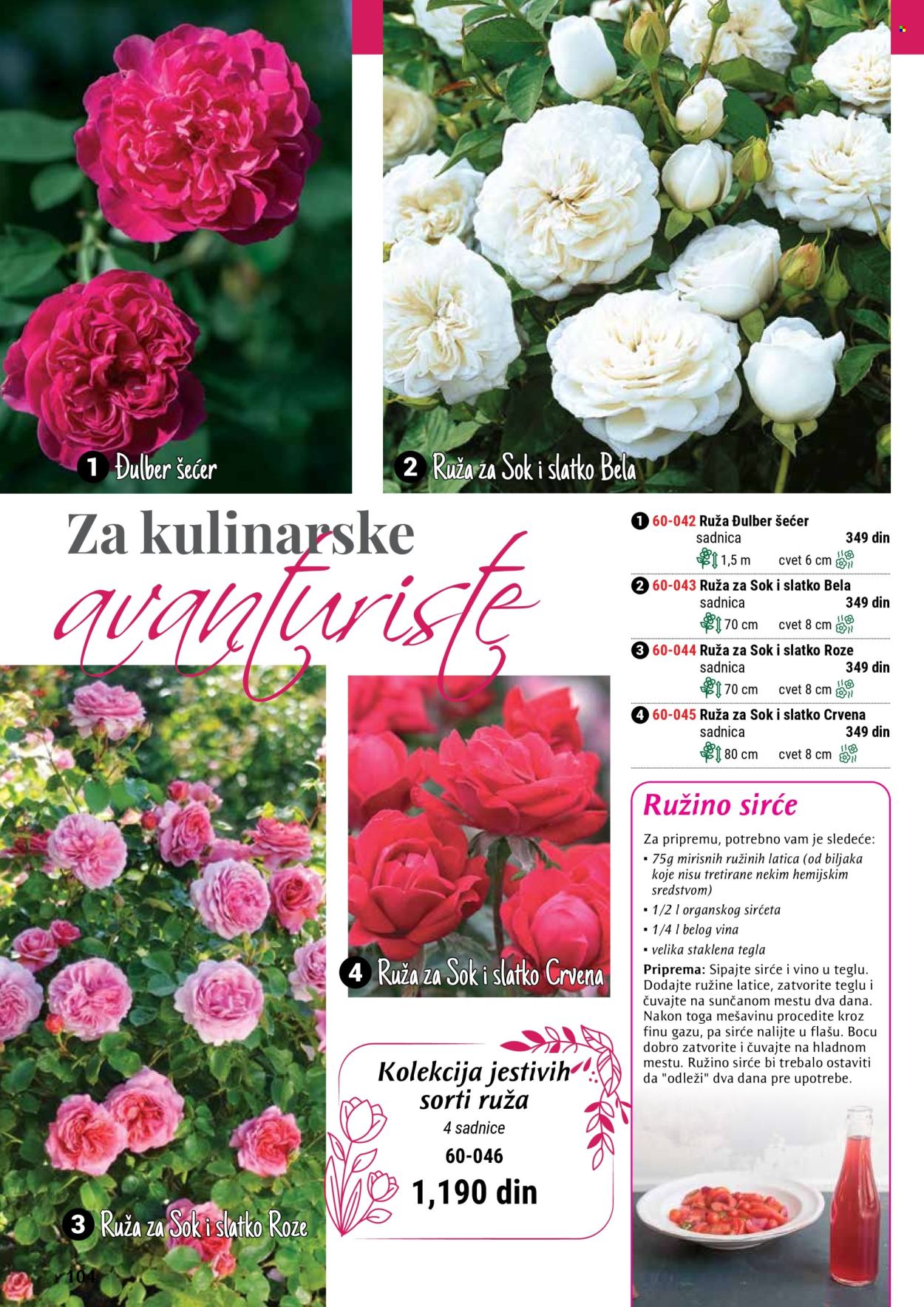 Flora Ekspres katalog. Stranica 104